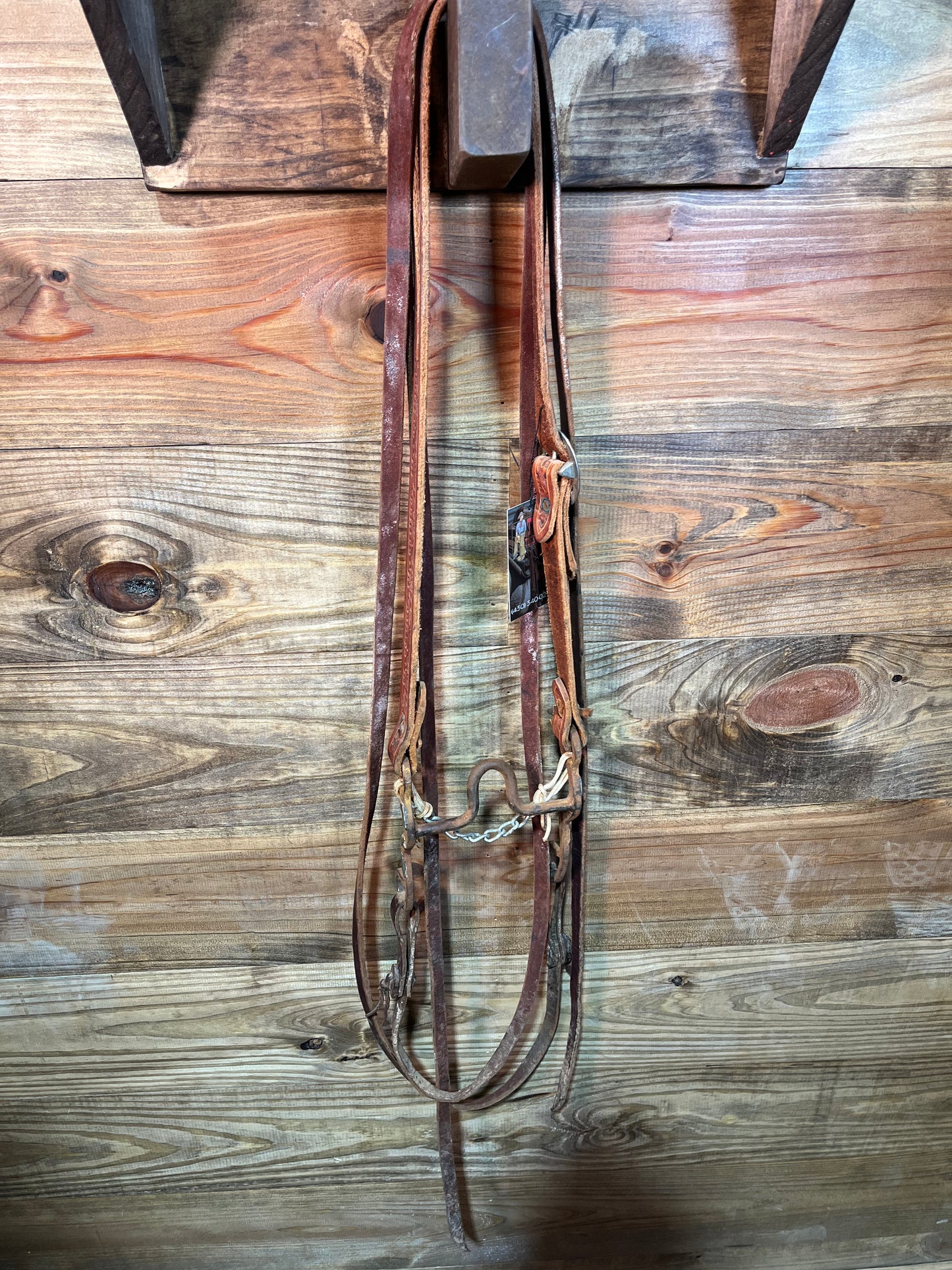 ISUB020 LR Bridle
