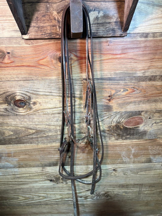 ISUB024 Randy Arnold Bridle