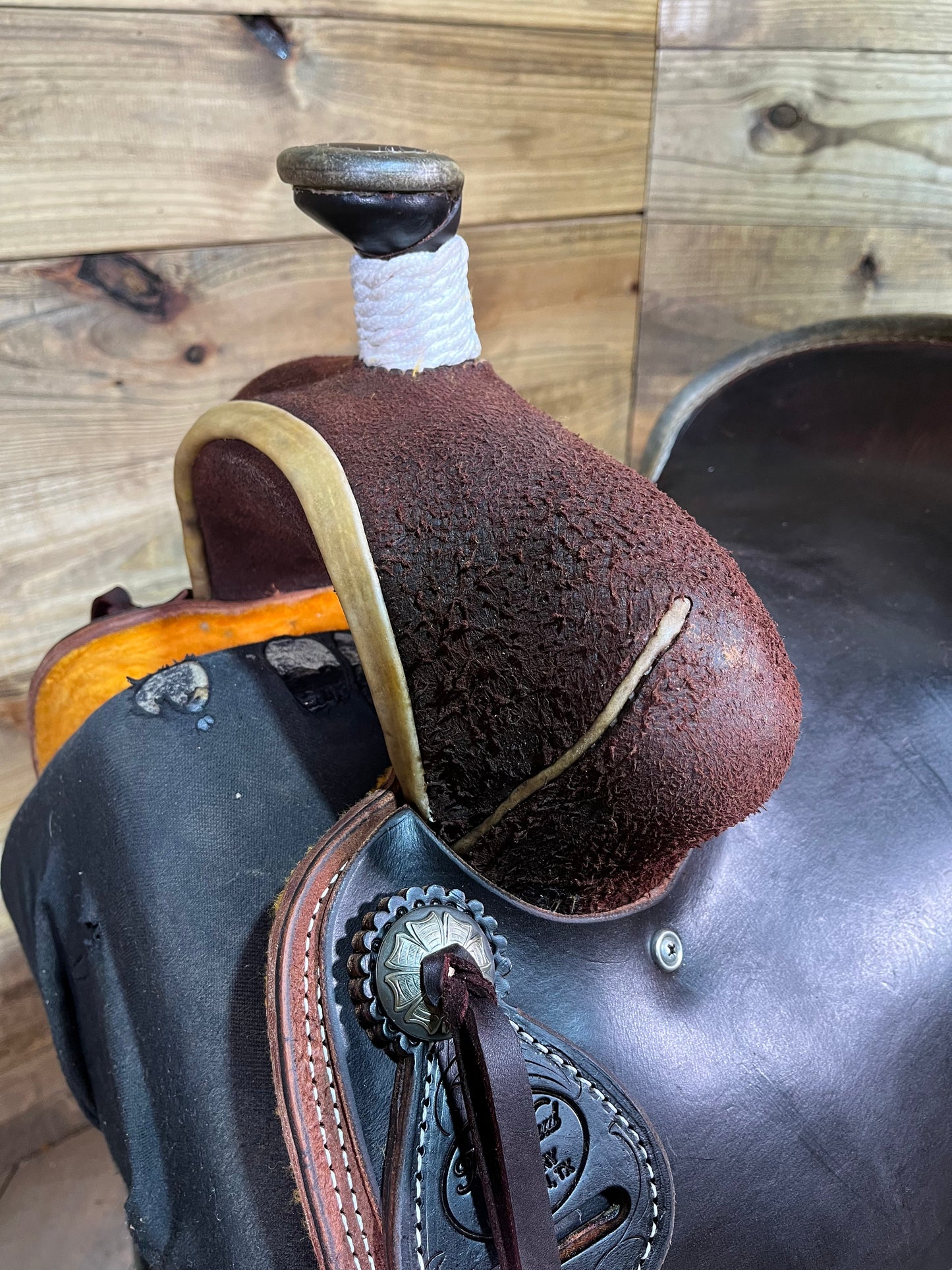Trent Ward WJ Rancher ISRS3111-24