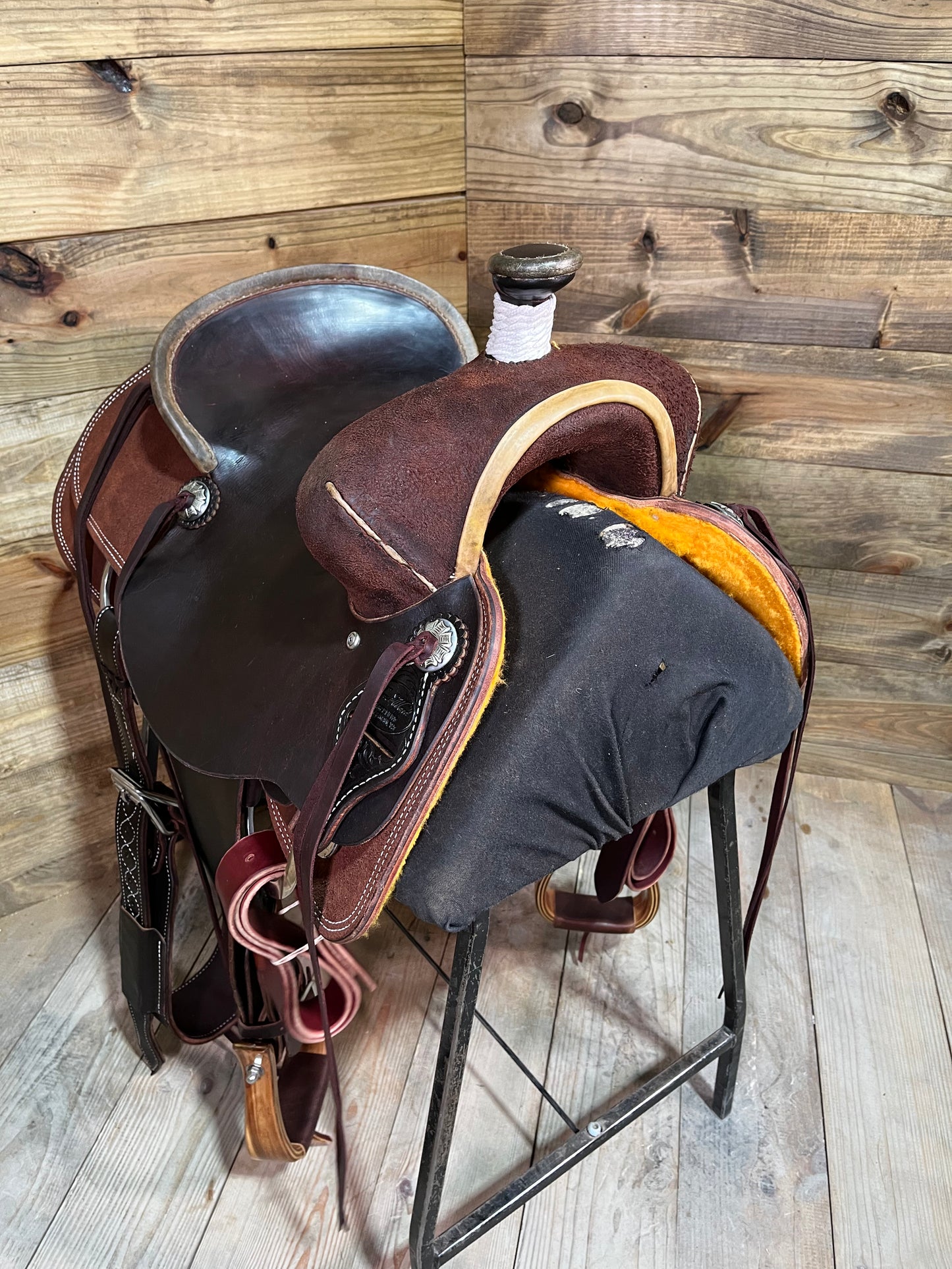 Trent Ward WJ Rancher ISRS3111-24