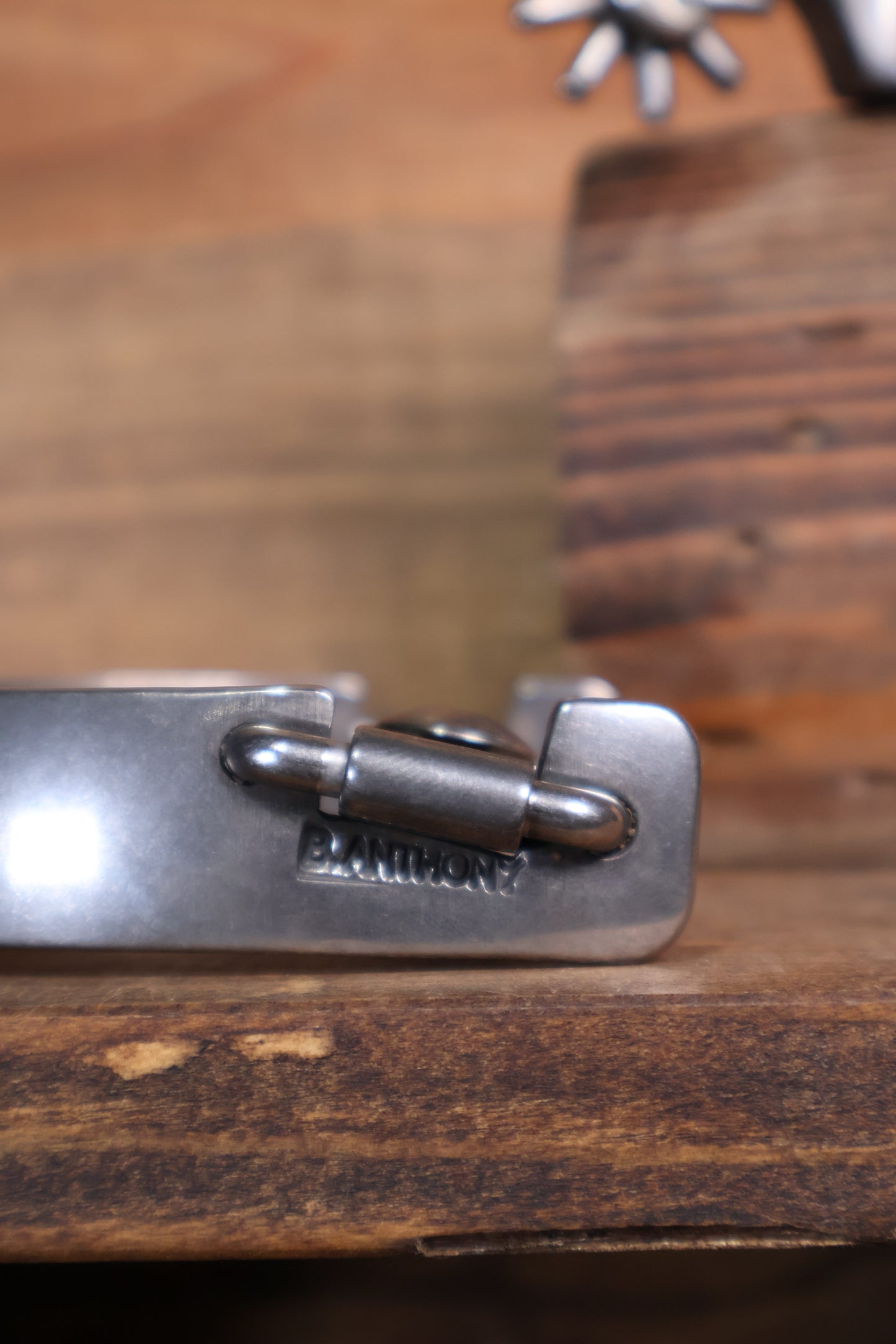 ISSPUR18 Brandon Anthony Spurs