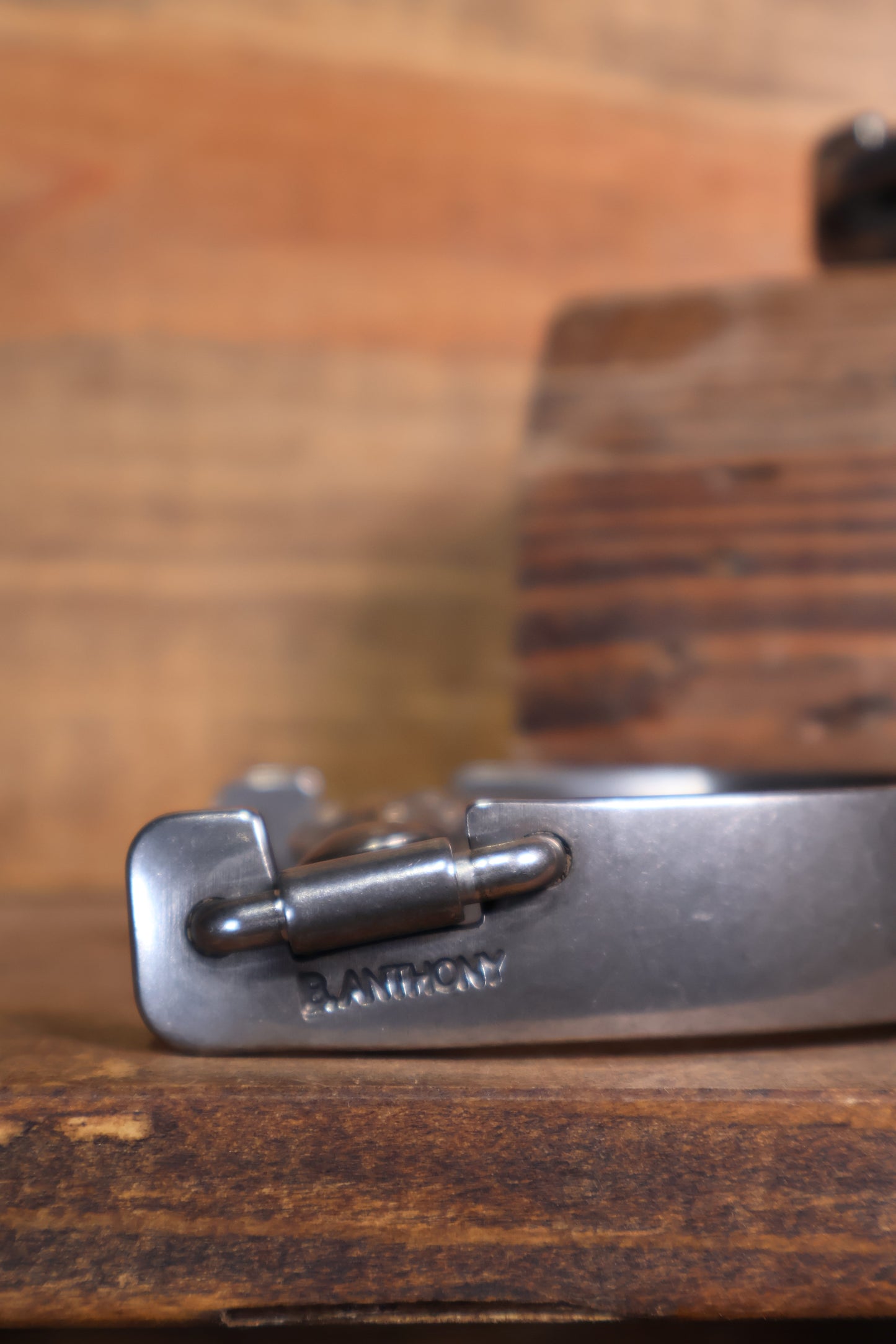 ISSPUR19 Brandon Anthony Spurs