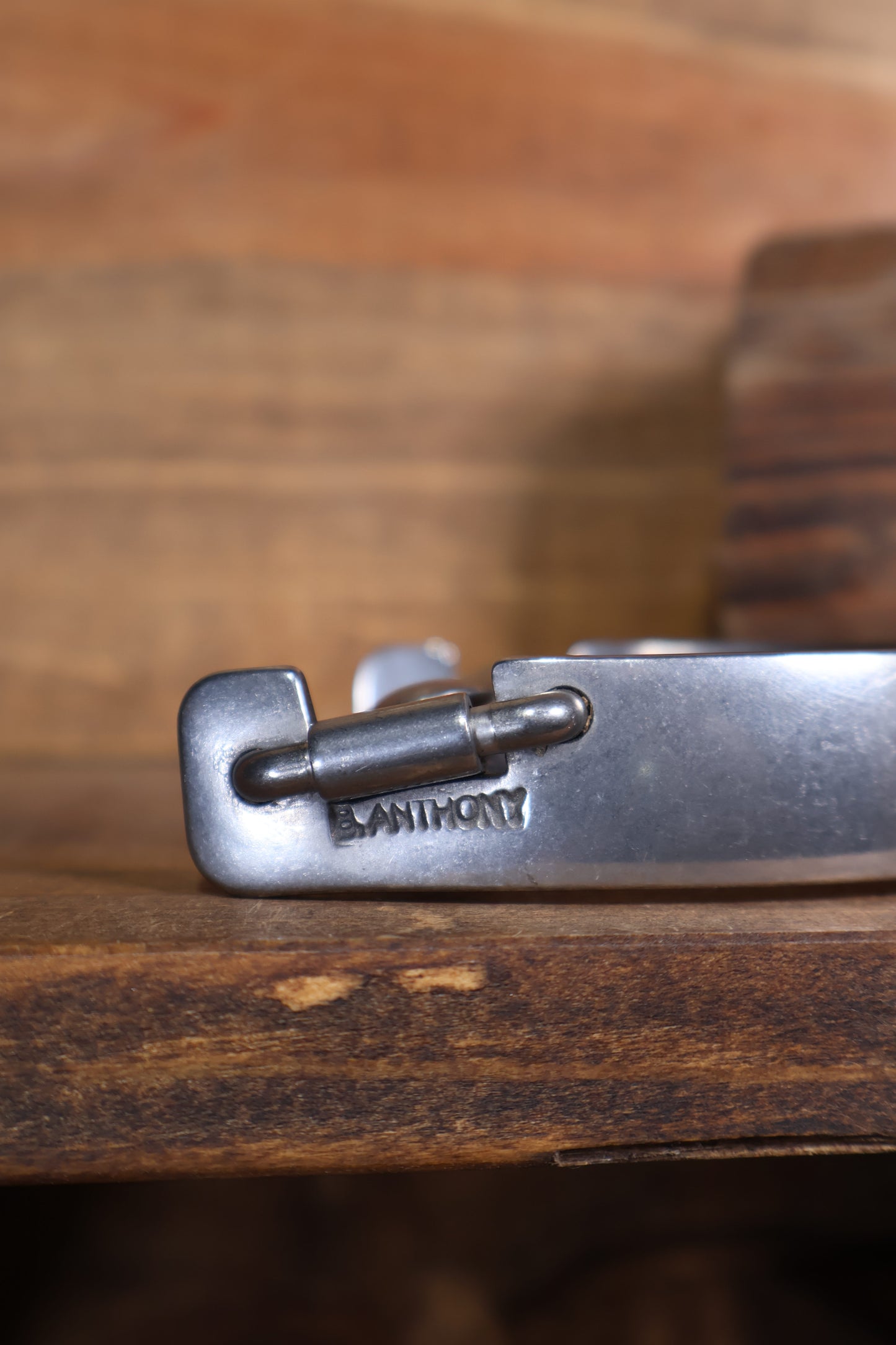 ISSPUR20 Brandon Anthony Spurs