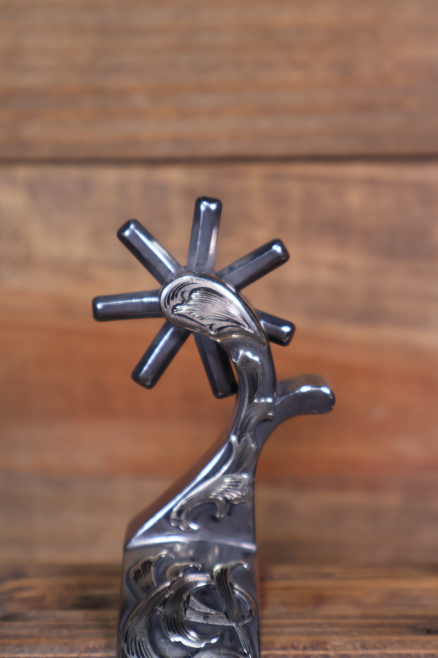 ISSPUR21 Brandon Anthony Spur's