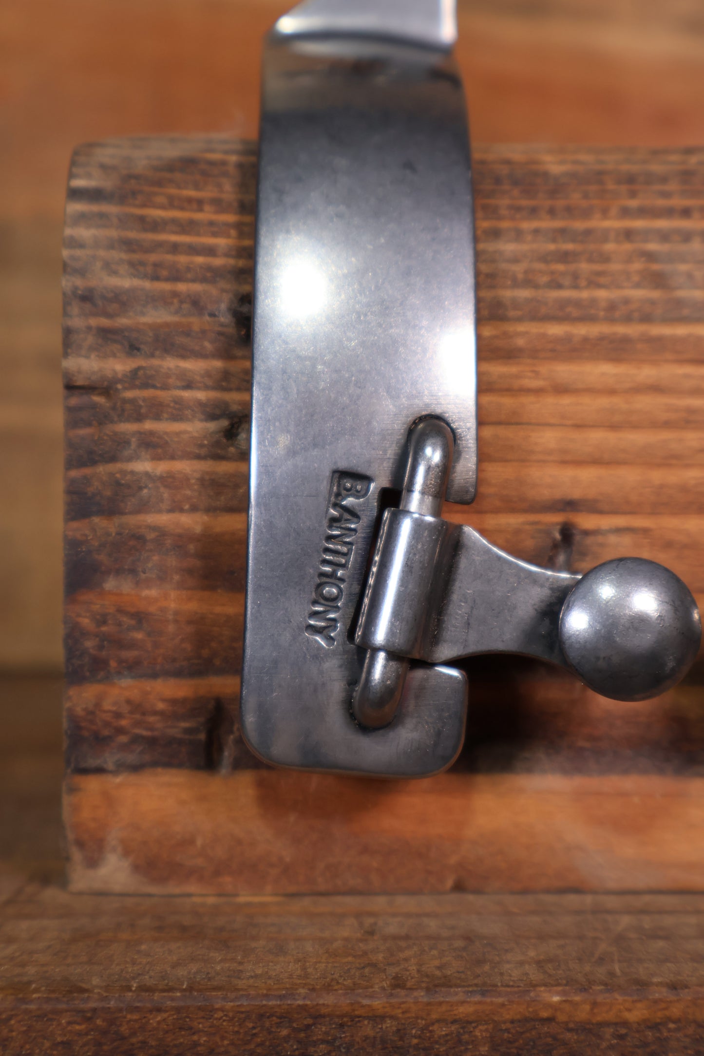 ISSPUR21 Brandon Anthony Spur's