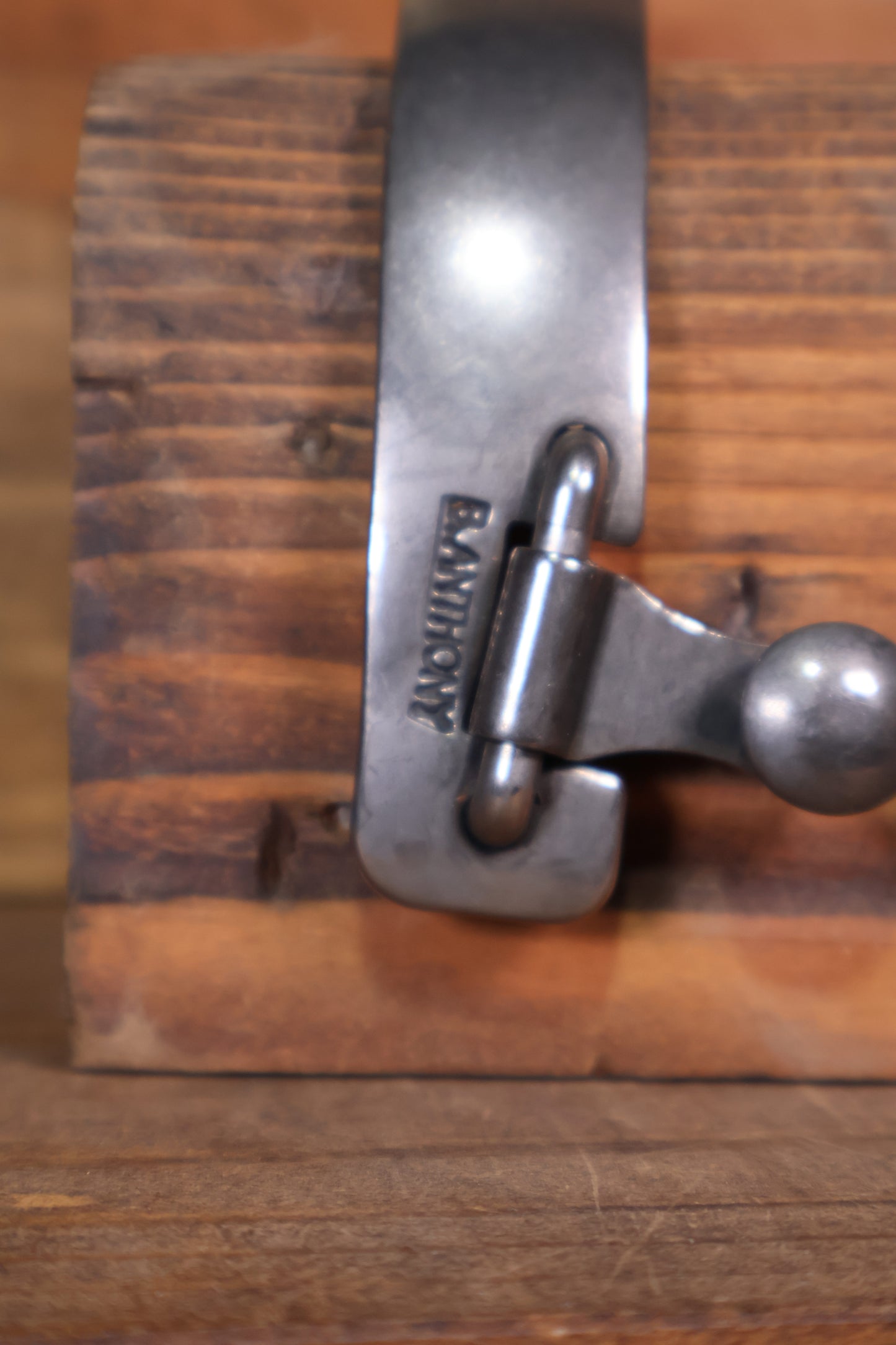 ISSPUR23 Brandon Anthony Spurs