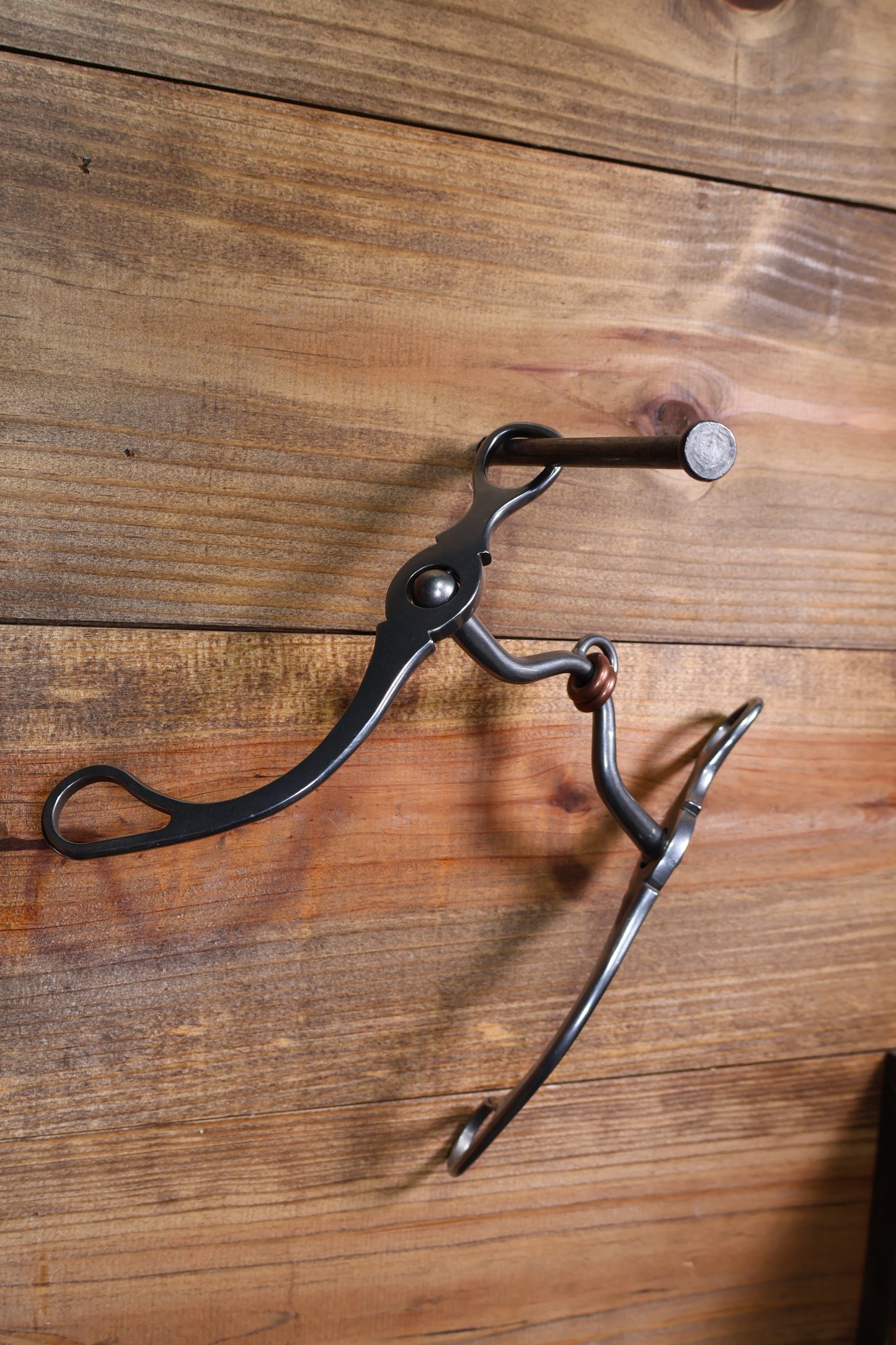 ISBIT116 Brandon Anthony 81 Shank Correctional