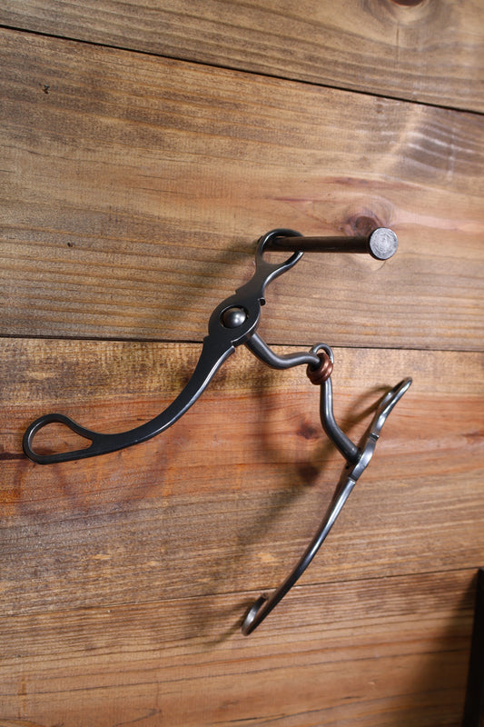 ISBIT116 Brandon Anthony 81 Shank Correctional