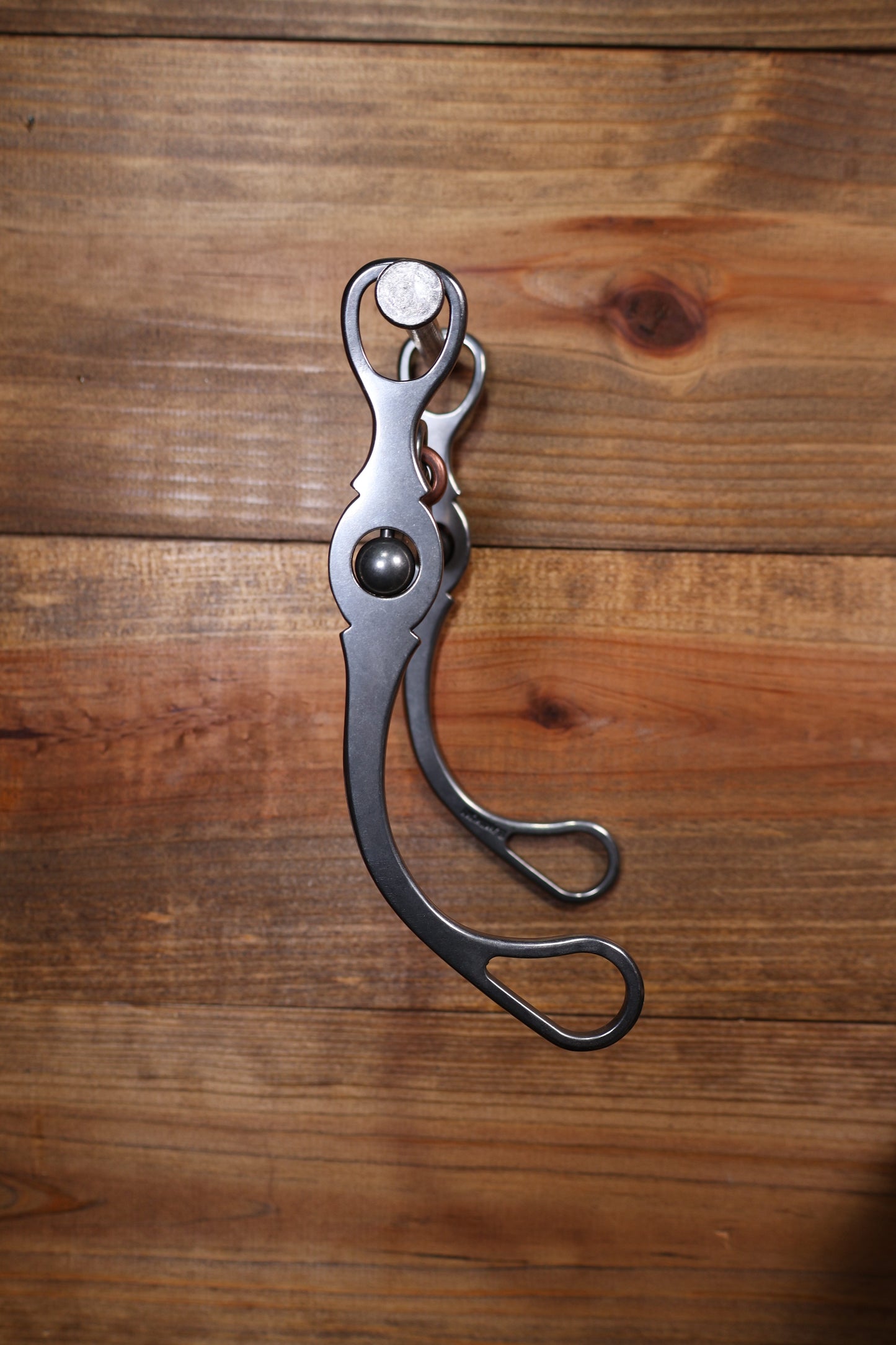 ISBIT116 Brandon Anthony 81 Shank Correctional