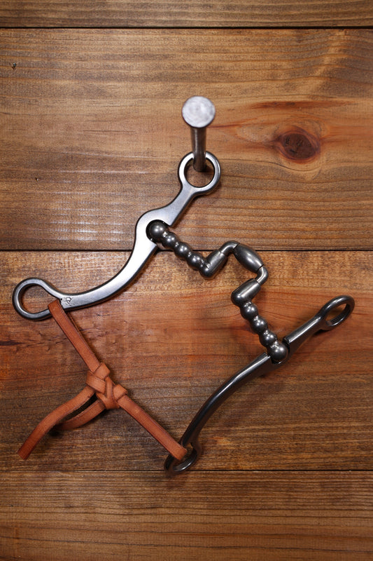 ISBIT117 Brandon Anthony 83 Shank Correctional