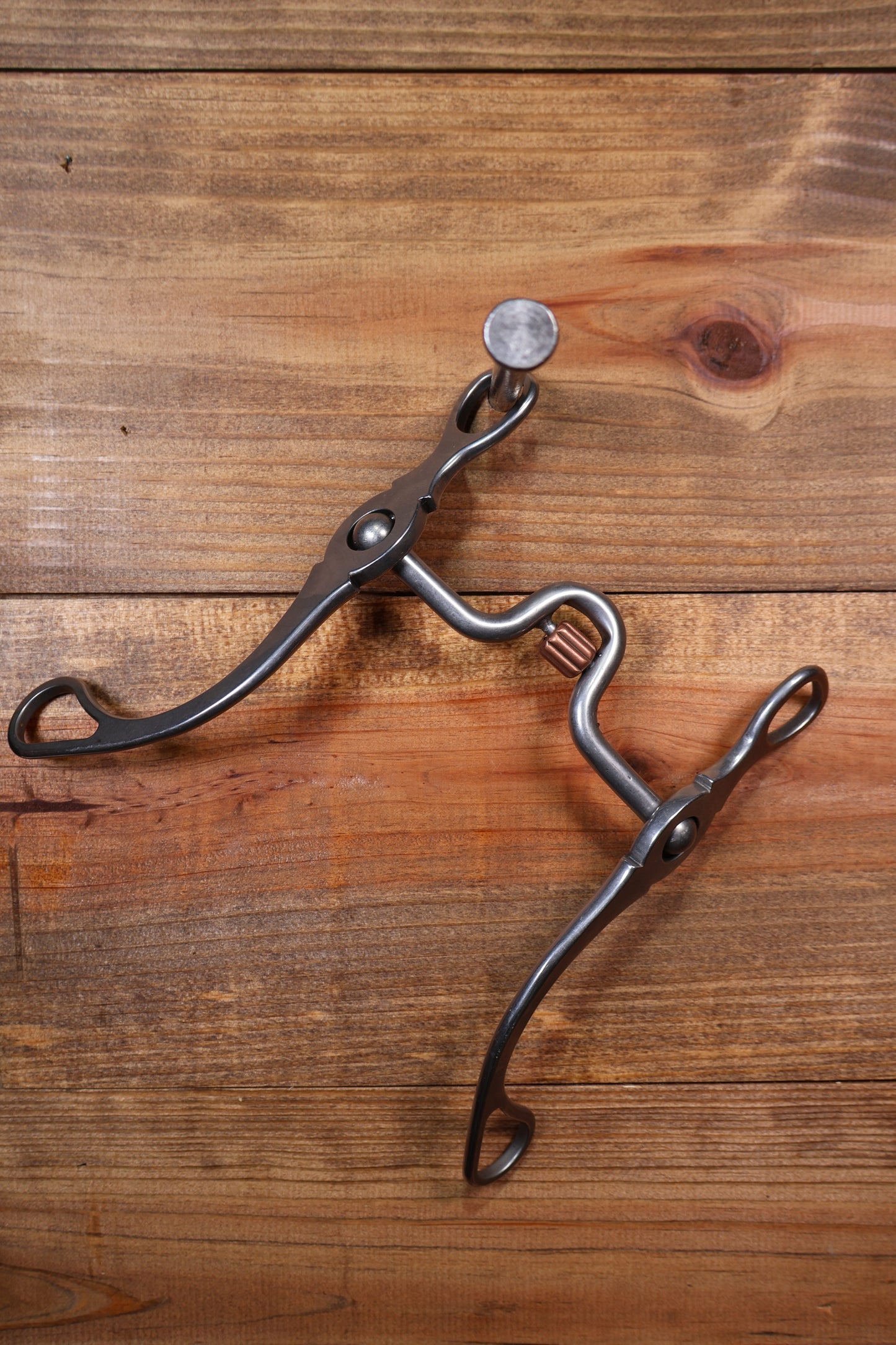 ISBIT119 Brandon Anthony 338-S Correction