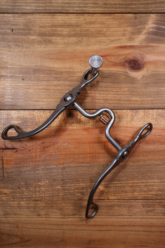 ISBIT119 Brandon Anthony 338-S Correction