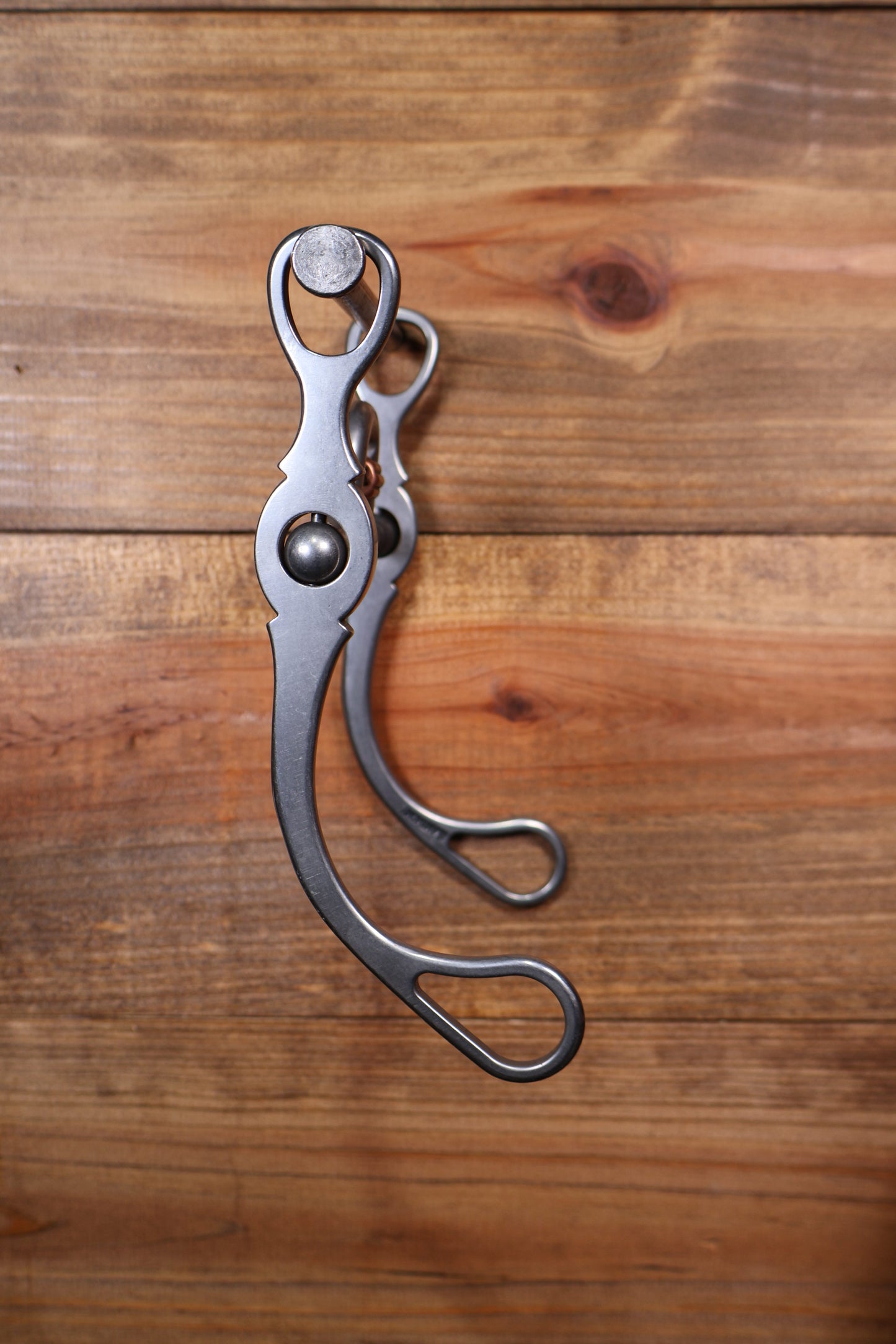 ISBIT119 Brandon Anthony 338-S Correction