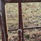 01 Headstall Rosette Tie Ends