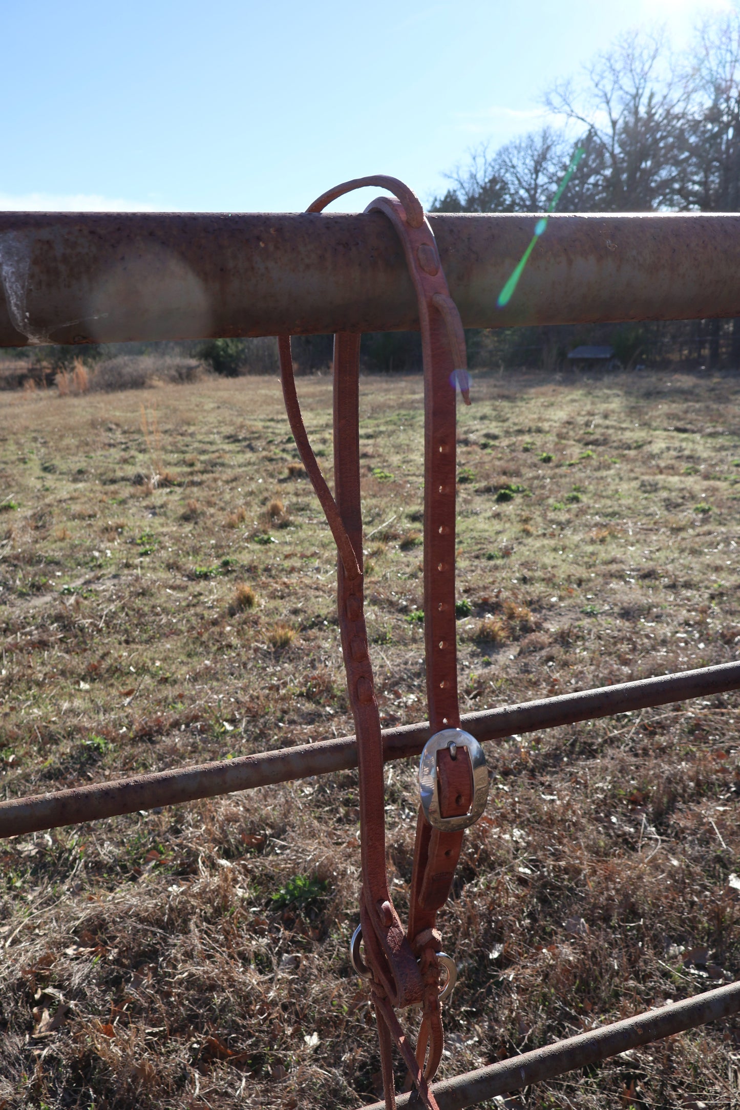 08 Headstall One Ear w/ Blood Knot Ring Ends
