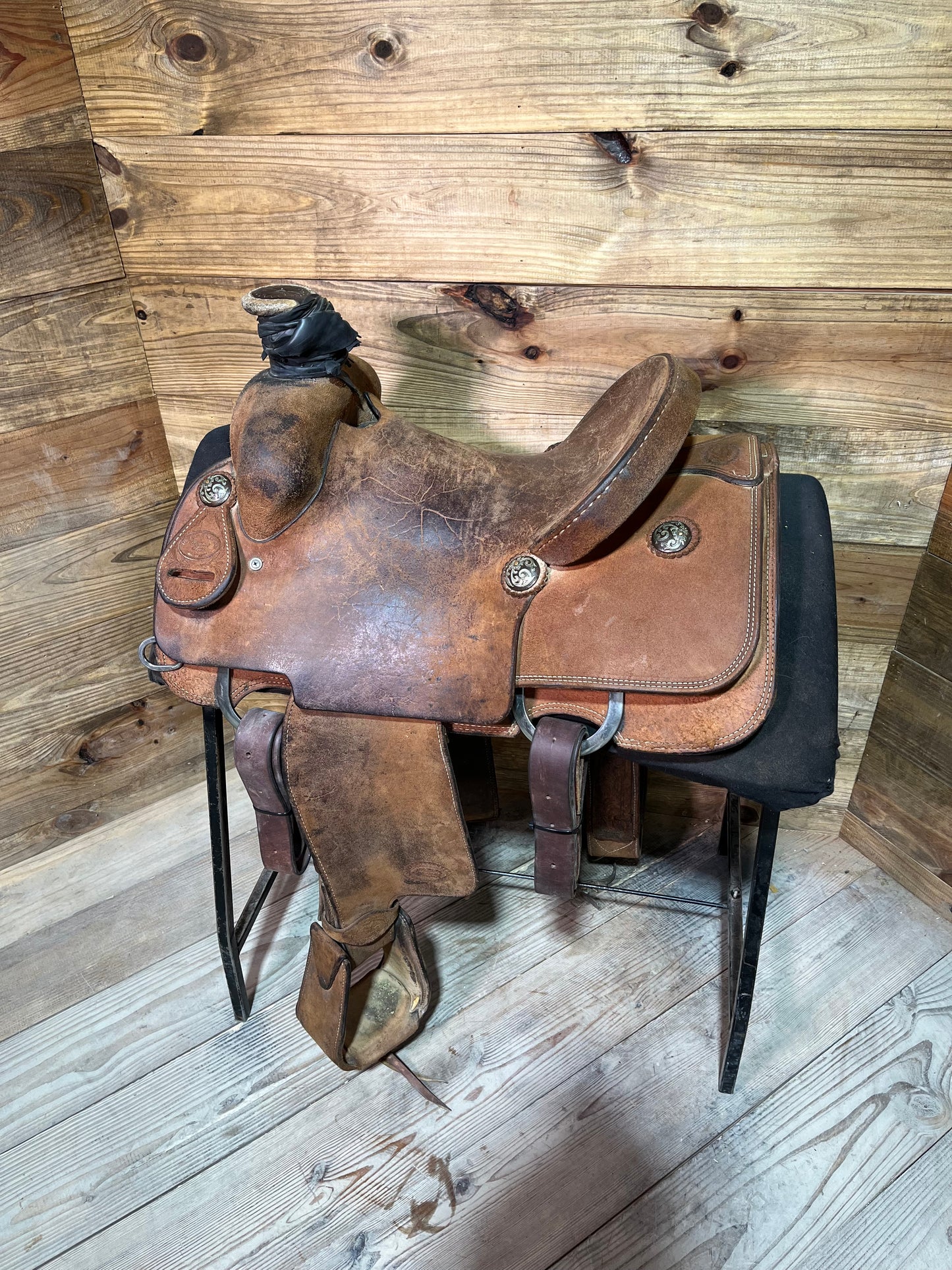 14” Trent Ward Platinum Roper ISUSED2241
