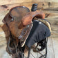 Trent Ward Cow Horse ISUSED1591