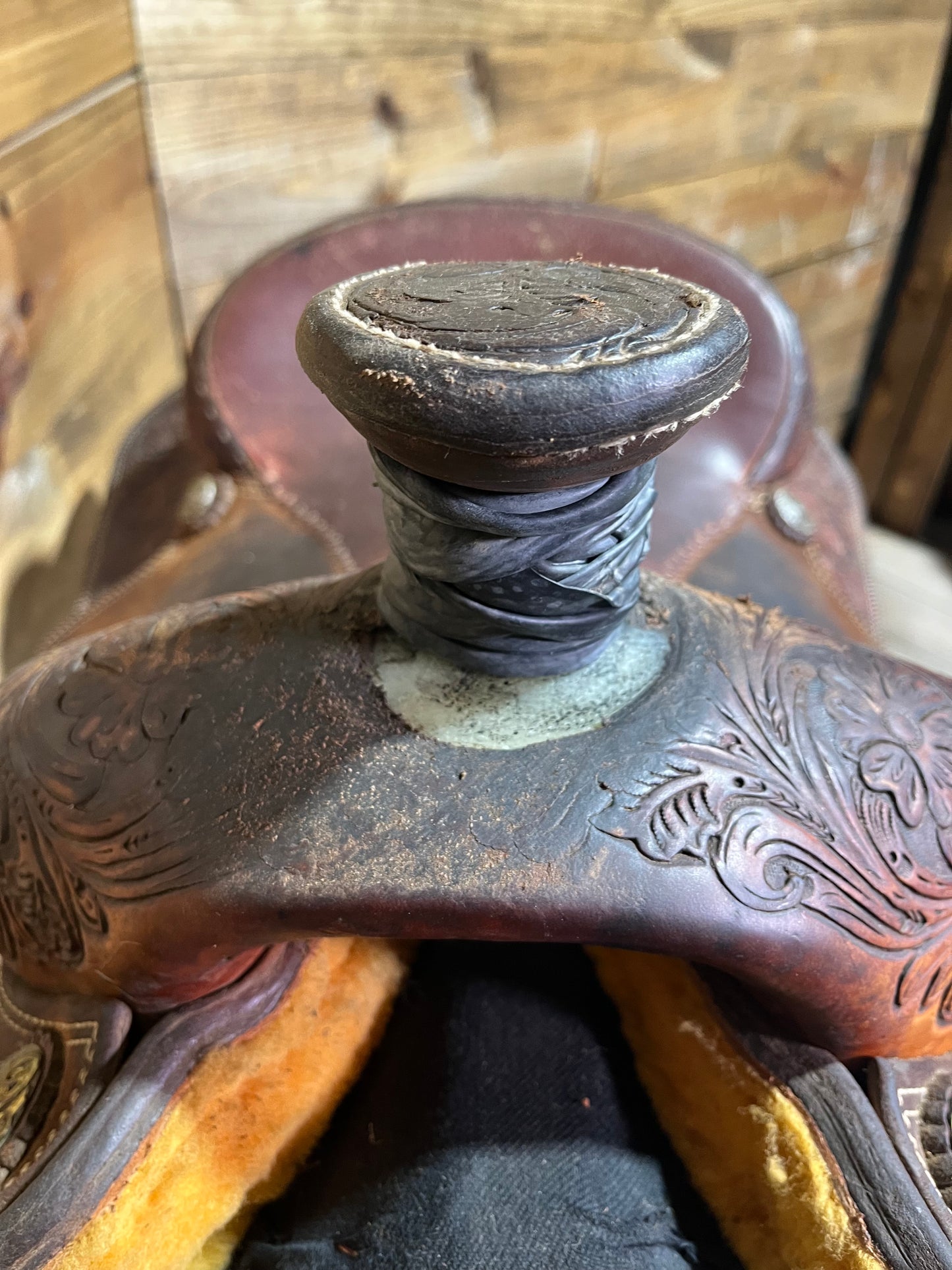 14 1/2” Cactus Relentless Roper ISUSED2271