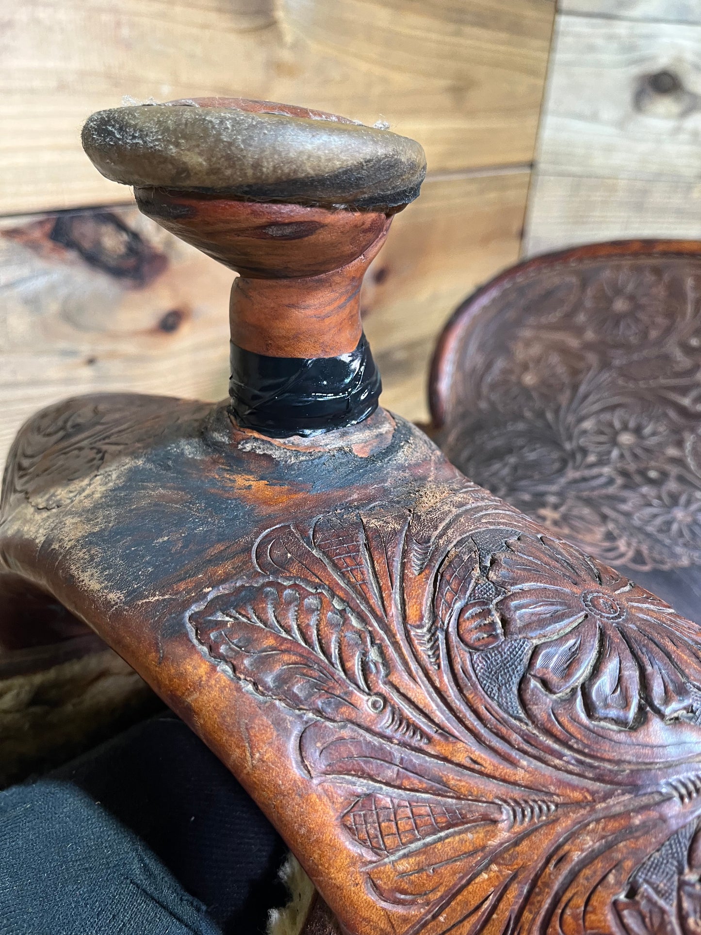 14 1/2” Stray Star Roper ISUSED2278