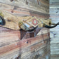 4 Horn w/ Concho & Leather Accent Piece Coat Wrack