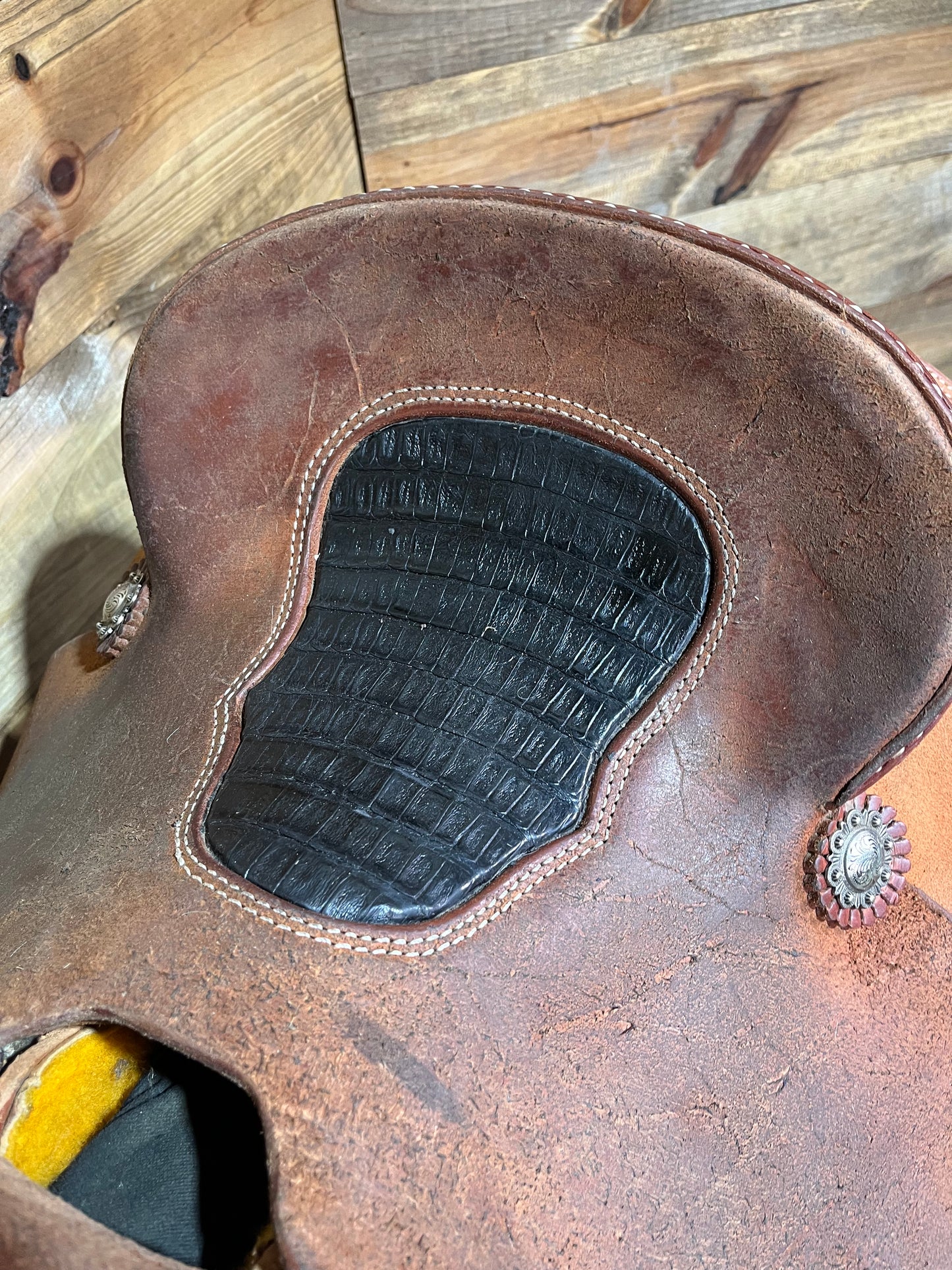 13” Trent Ward AZ Roper ISUSED2331