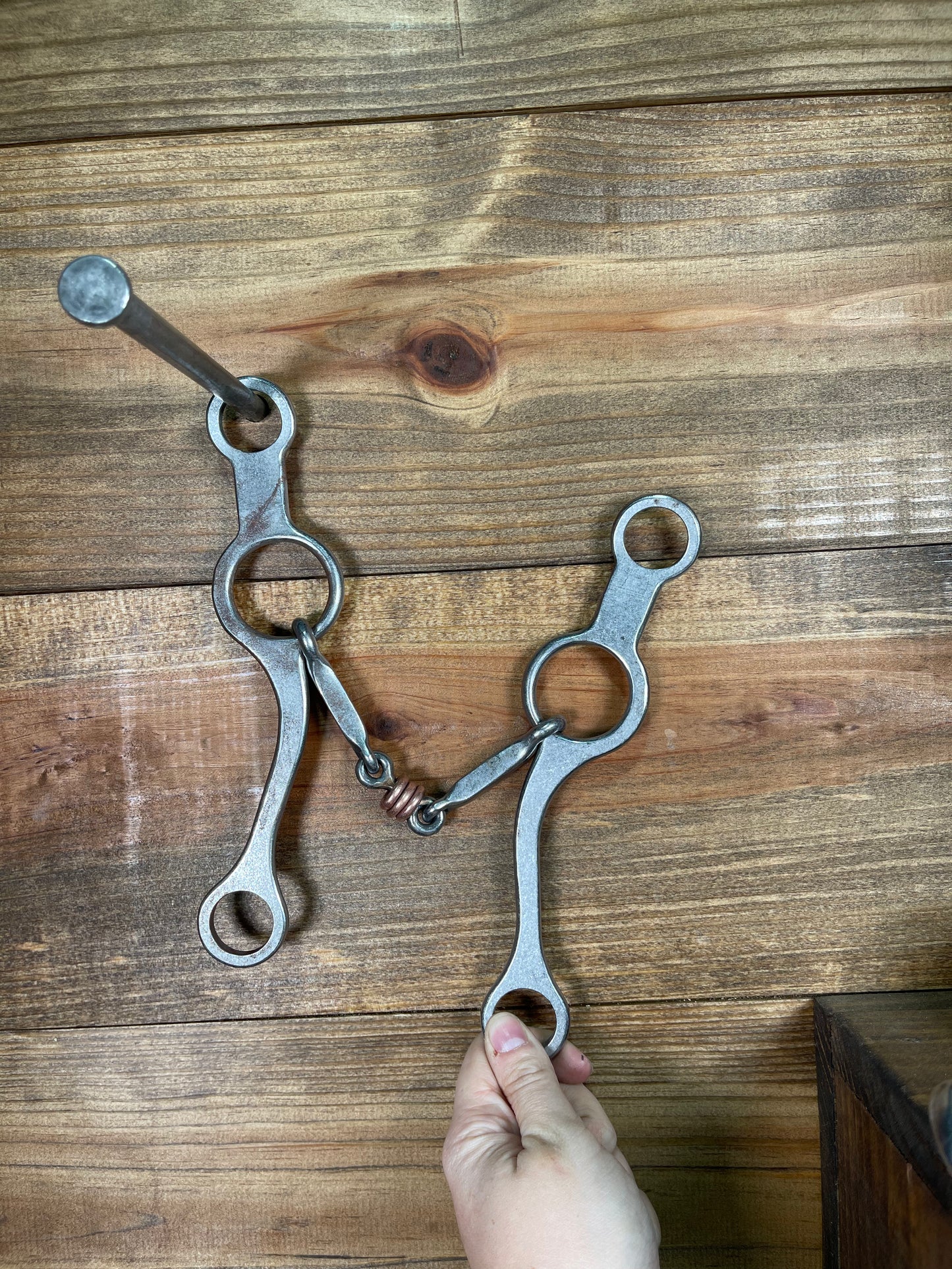 ISBIT90 Josh Ownbey Jr Cowhorse