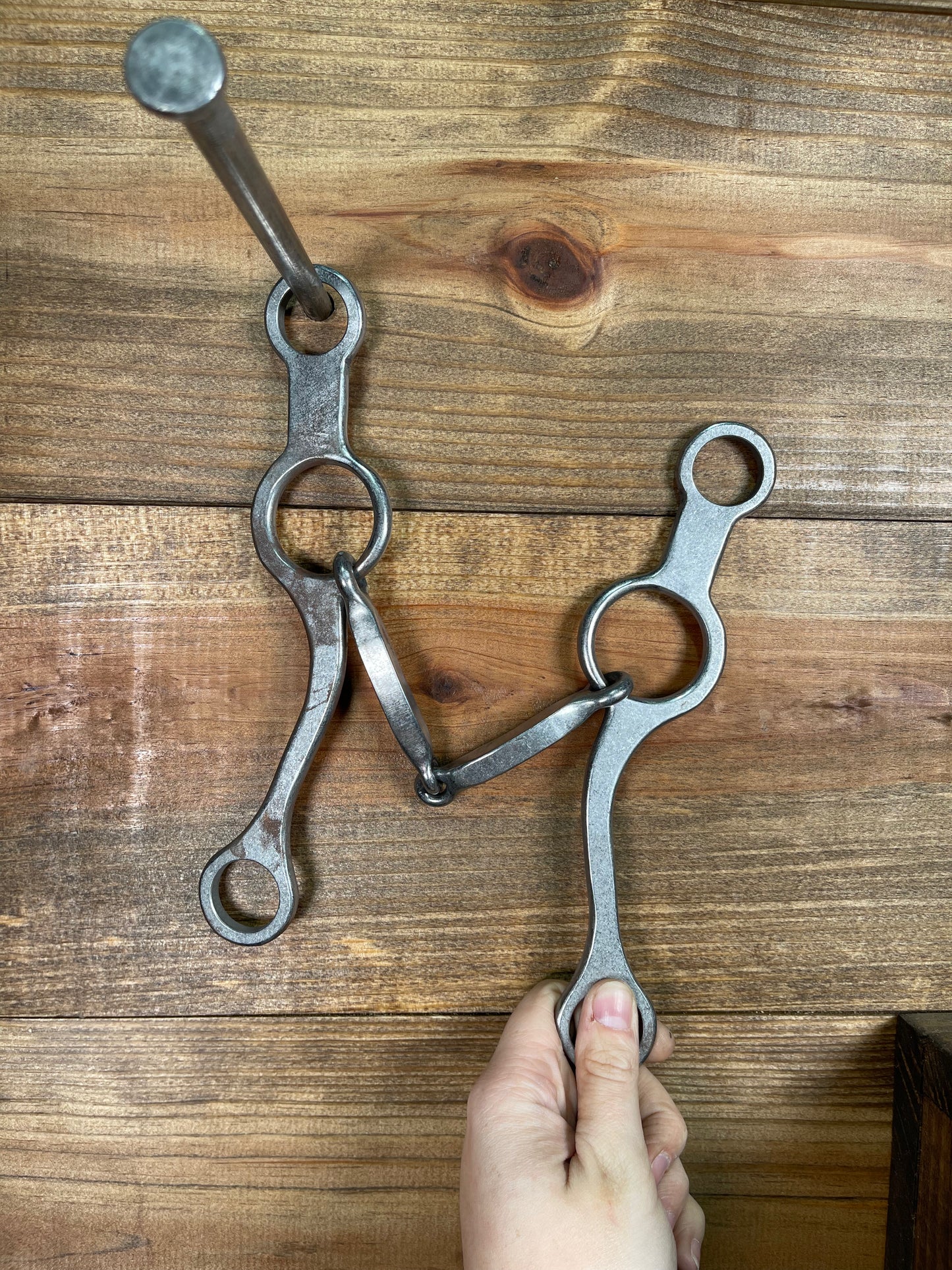 ISBIT92 Josh Ownbey Jr Cowhorse Snaffle