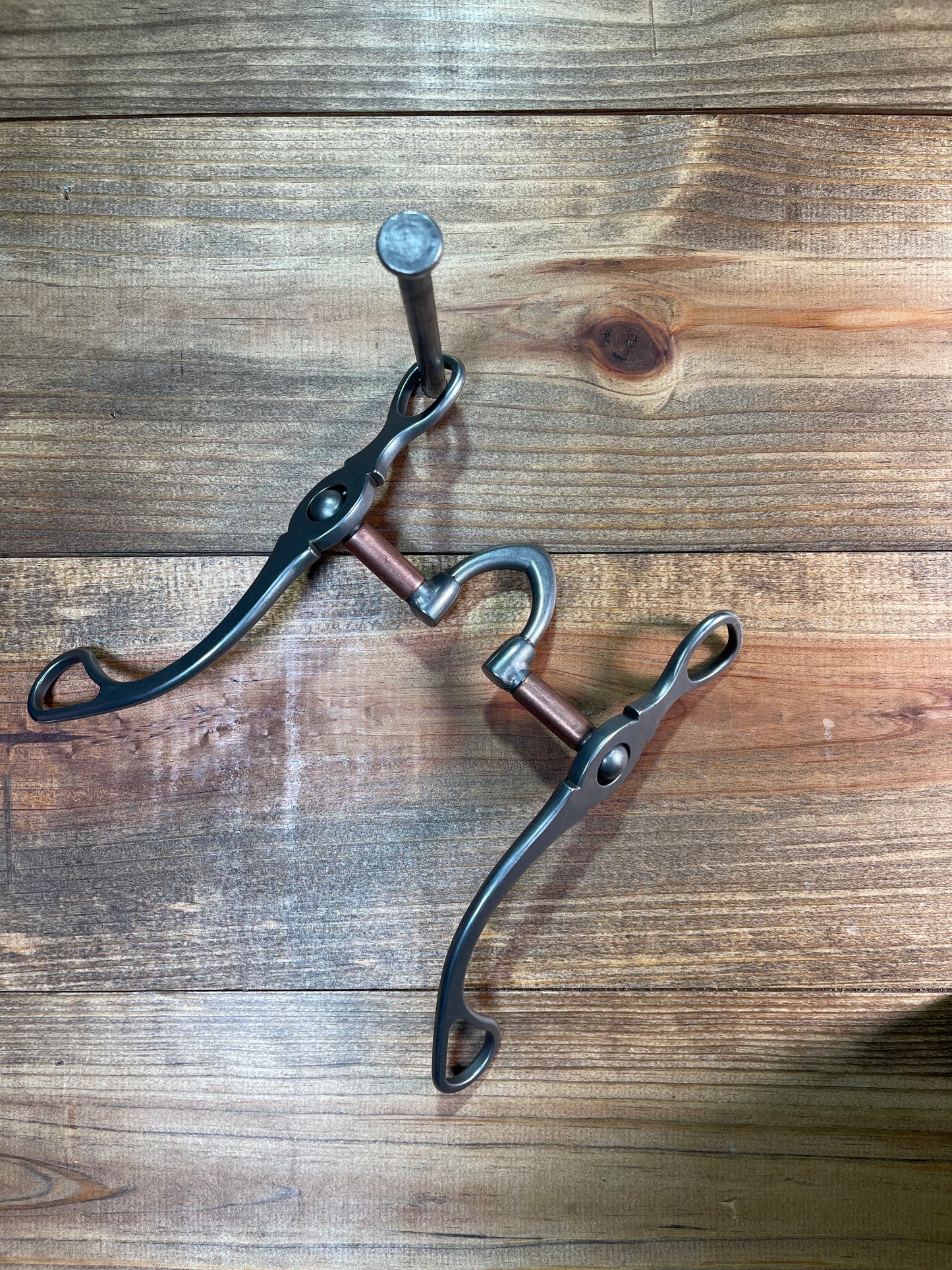 ISBIT105 Brandon Anthony Haverty Correction w/ Copper Bars