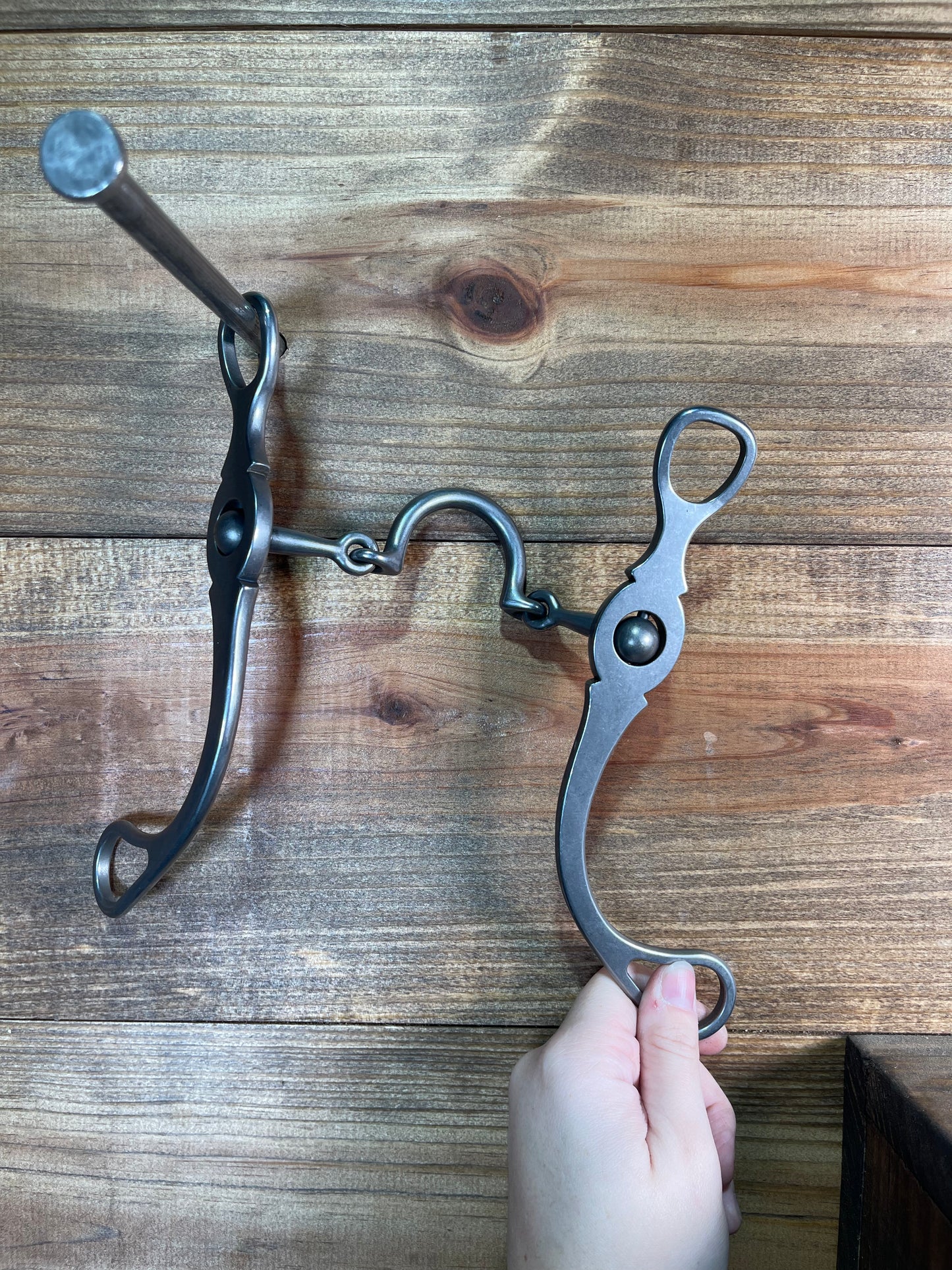 ISBIT109 Brandon Anthony U Correction w/ 81 Shank