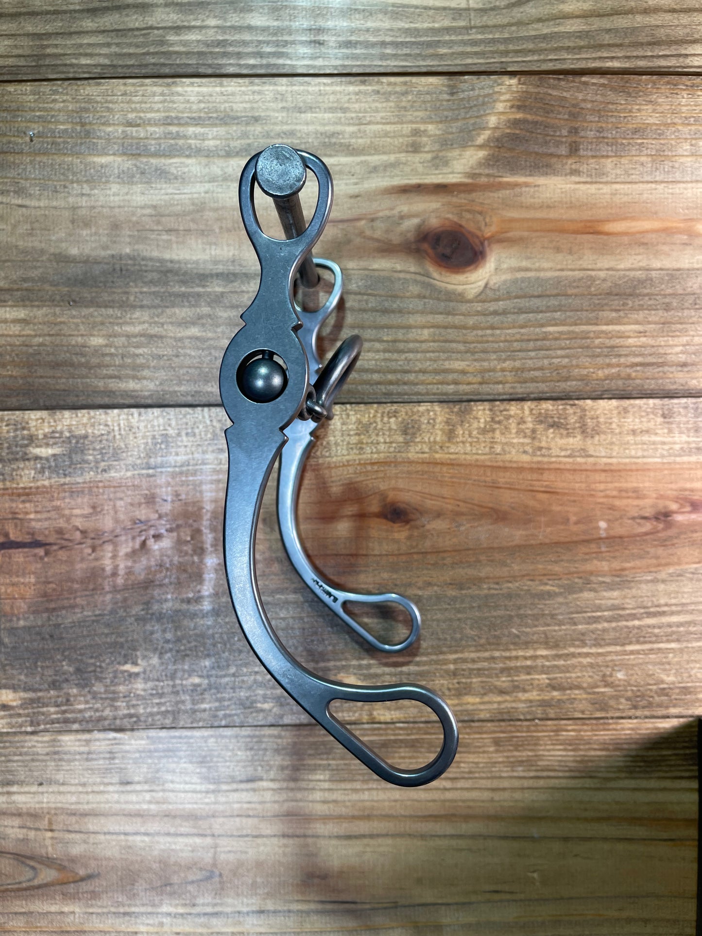 ISBIT109 Brandon Anthony U Correction w/ 81 Shank