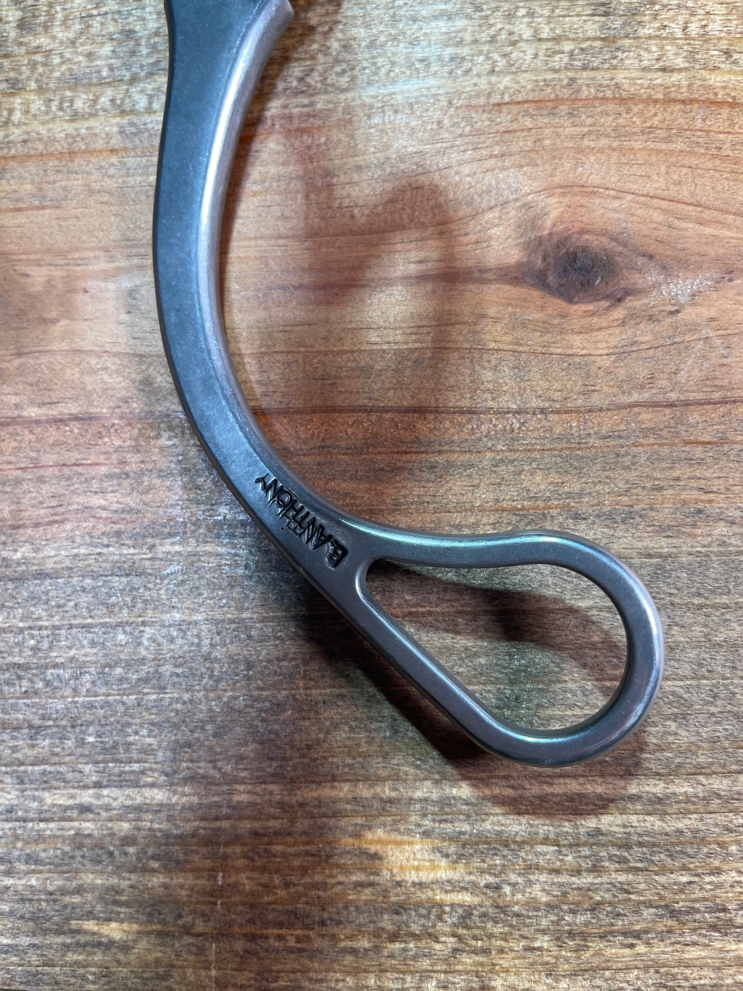 ISBIT109 Brandon Anthony U Correction w/ 81 Shank