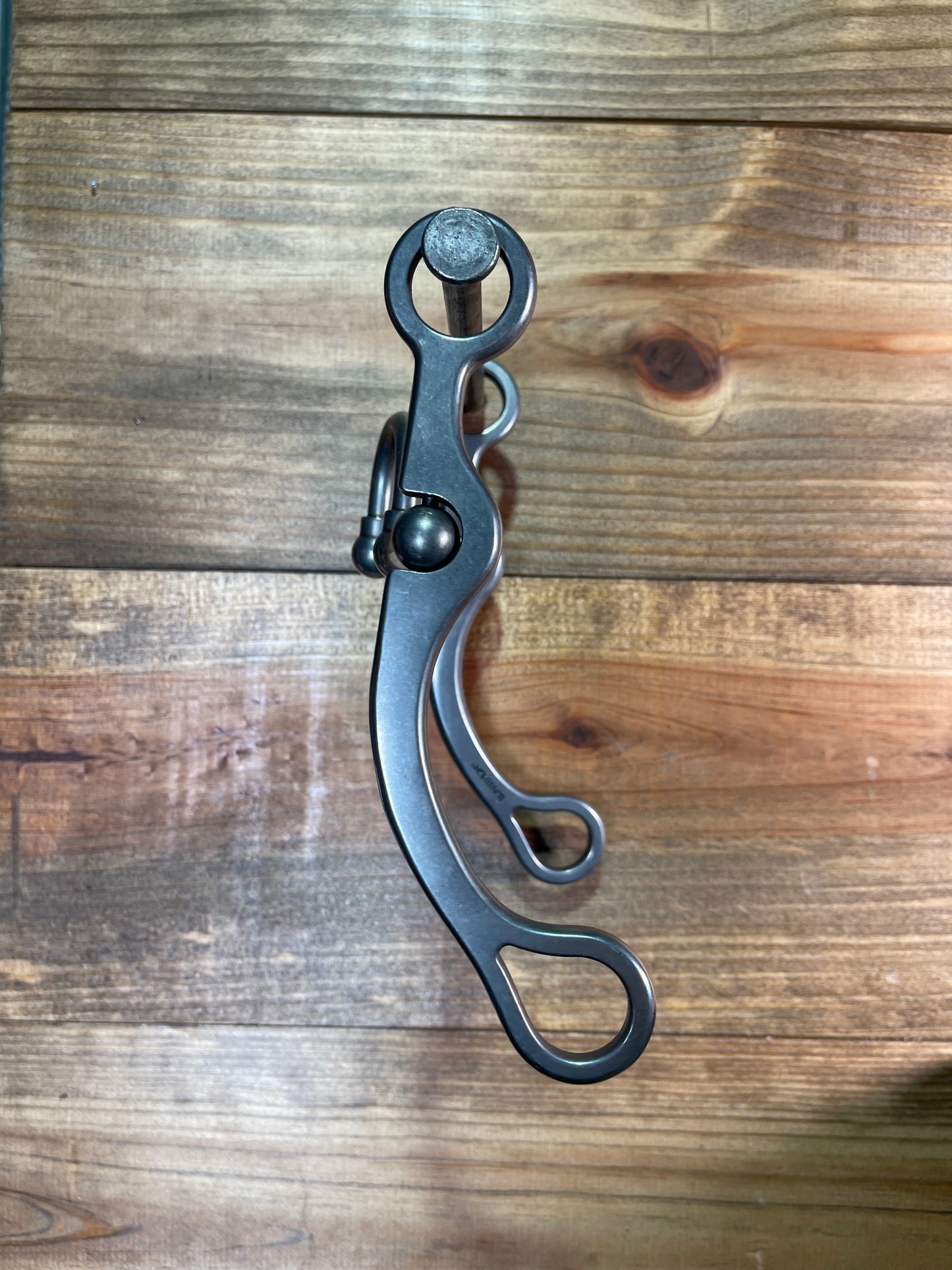 ISBIT104 Brandon Anthony Correction w/ 83 Shank