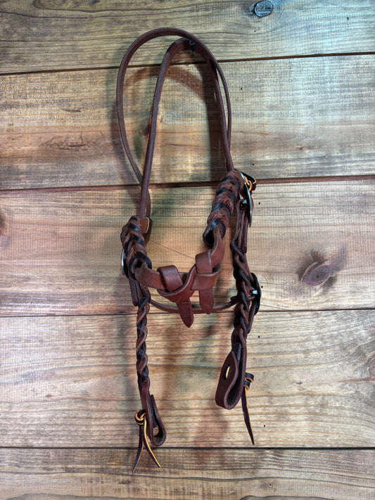Oiled Laced Harness Futurity