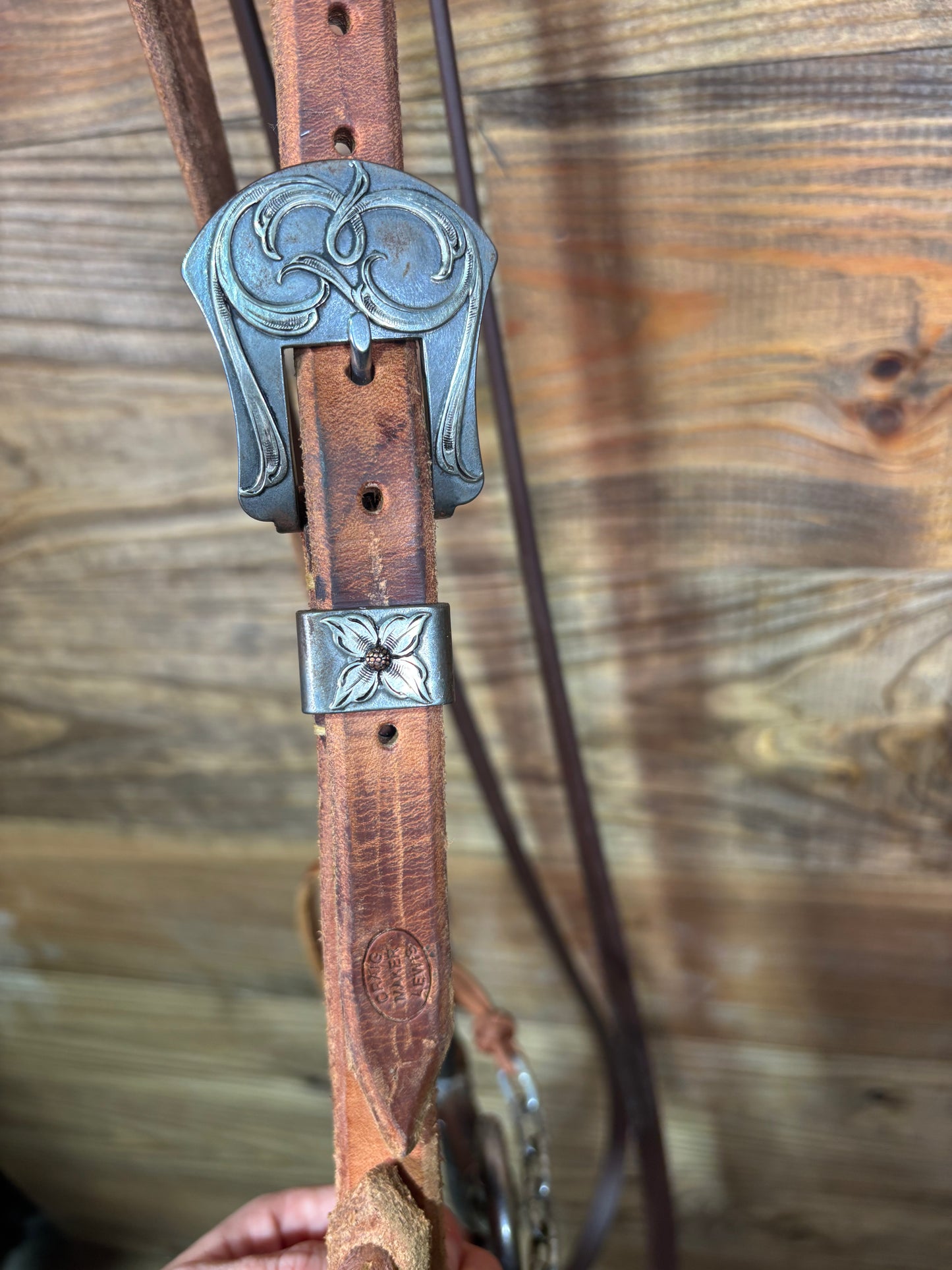 ISUB001 Brandon Anthony Mounted Correctional Bit