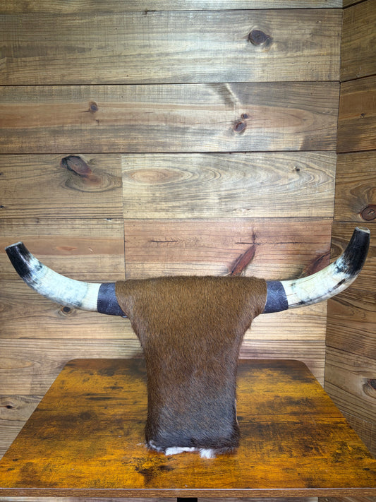 13 Medium Rank Rack