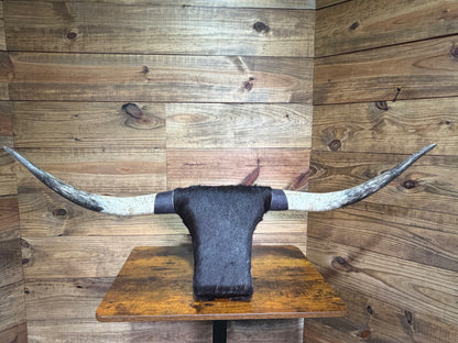 19 Extra Large Rank Rack