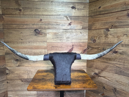 19 Extra Large Rank Rack