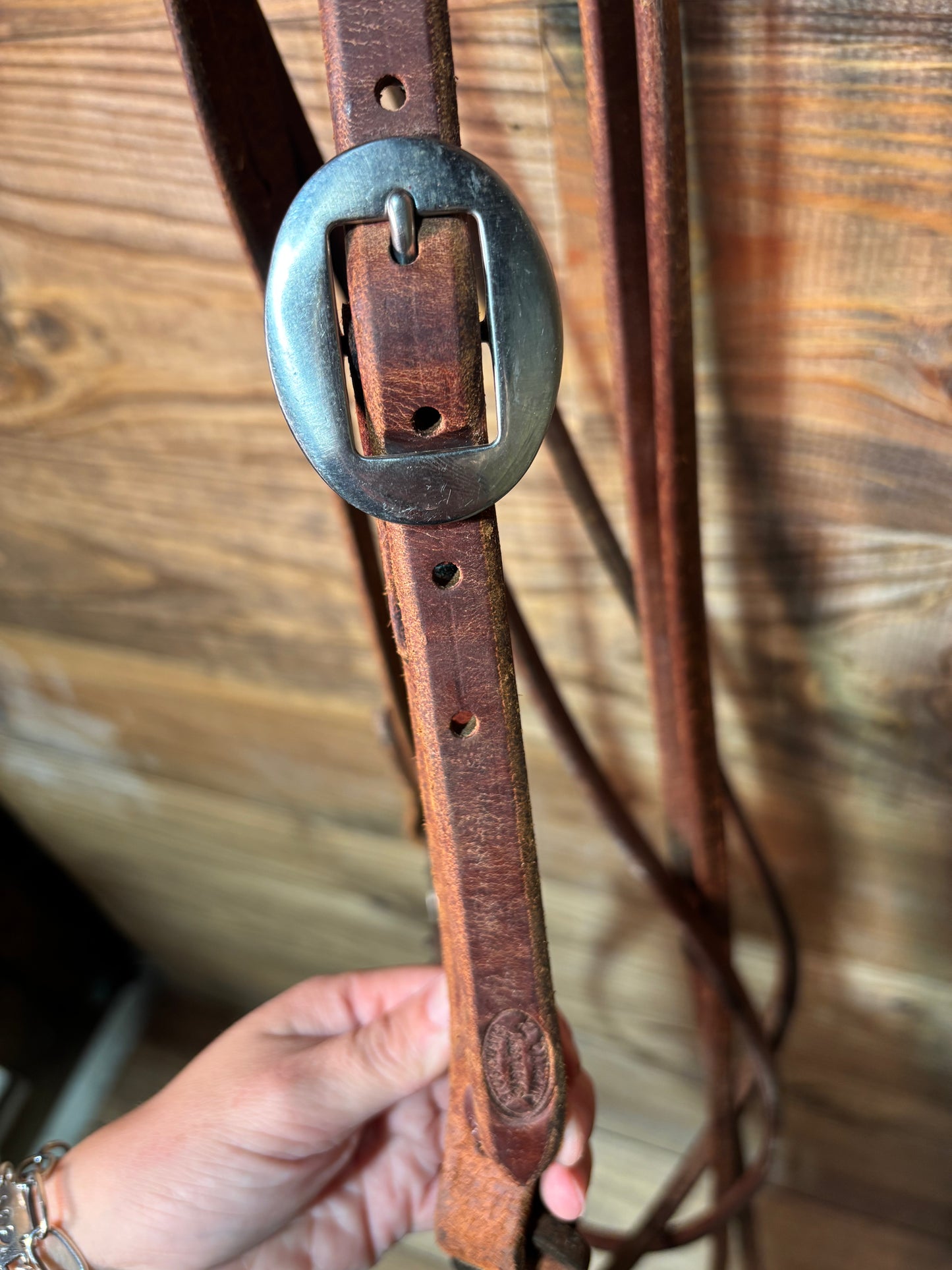 ISUB002 Randy Arnold Dog Bone Snaffle