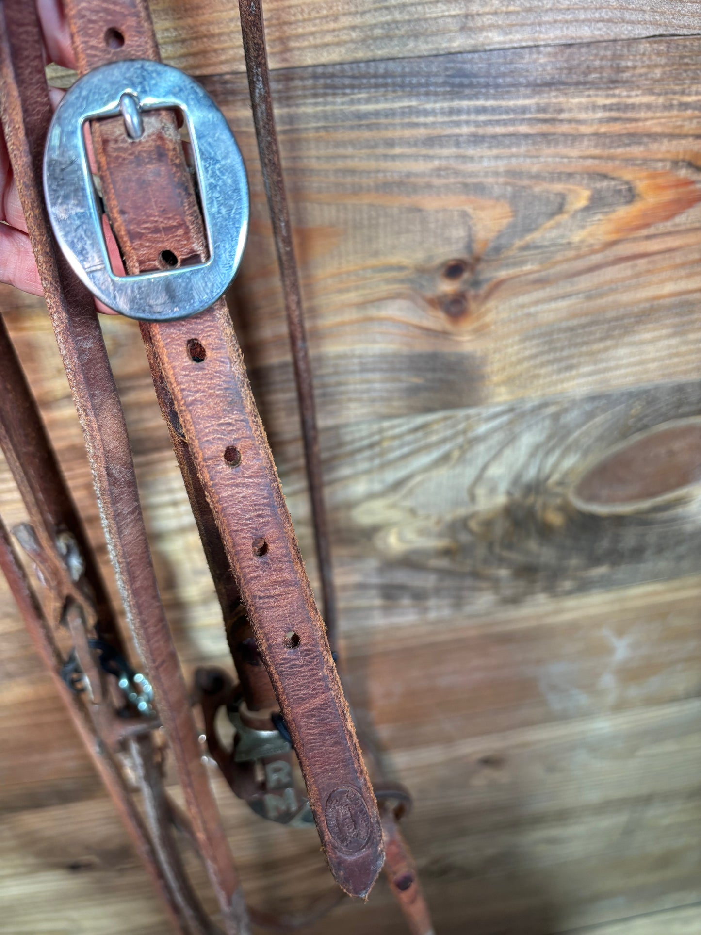 ISUB003 Randy Arnold Dog Bone Snaffle