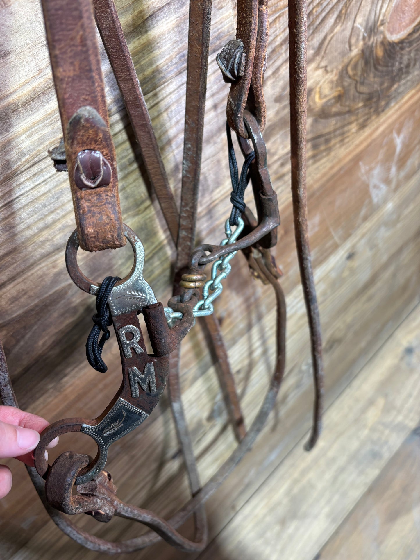 ISUB003 Randy Arnold Dog Bone Snaffle