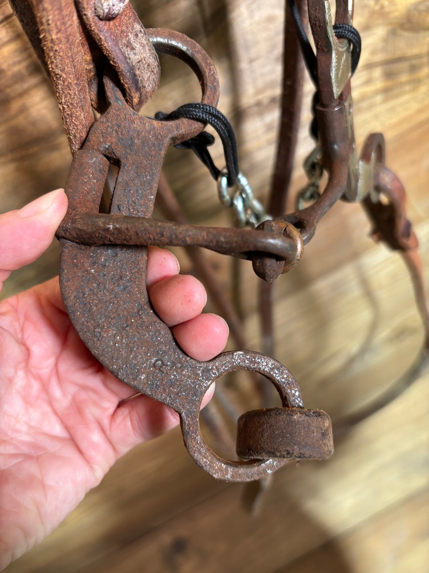 ISUB003 Randy Arnold Dog Bone Snaffle