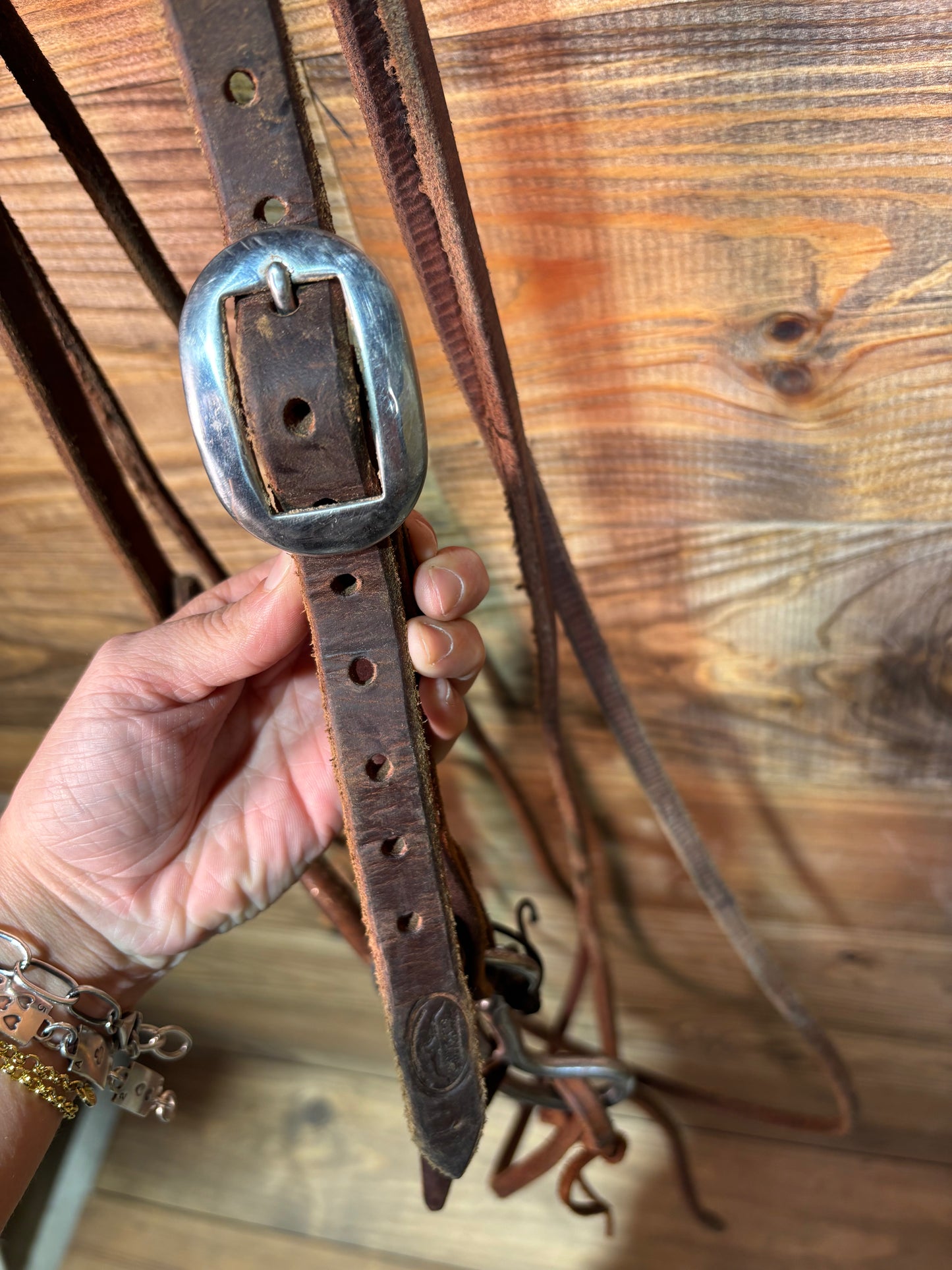 ISUB004 Professional Choice Bridle