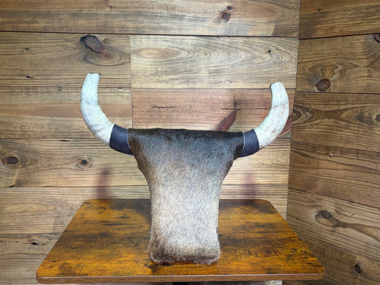 07 Medium Rank Rack