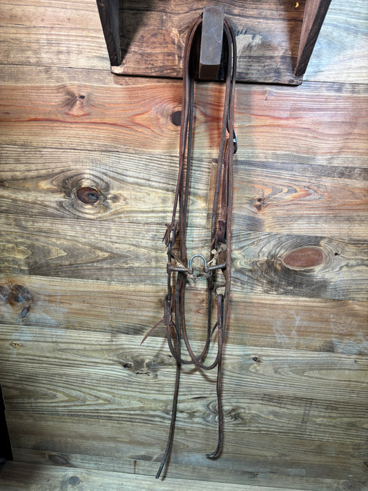 ISUB006 Jason Jarvis Mounted Correction Bridle