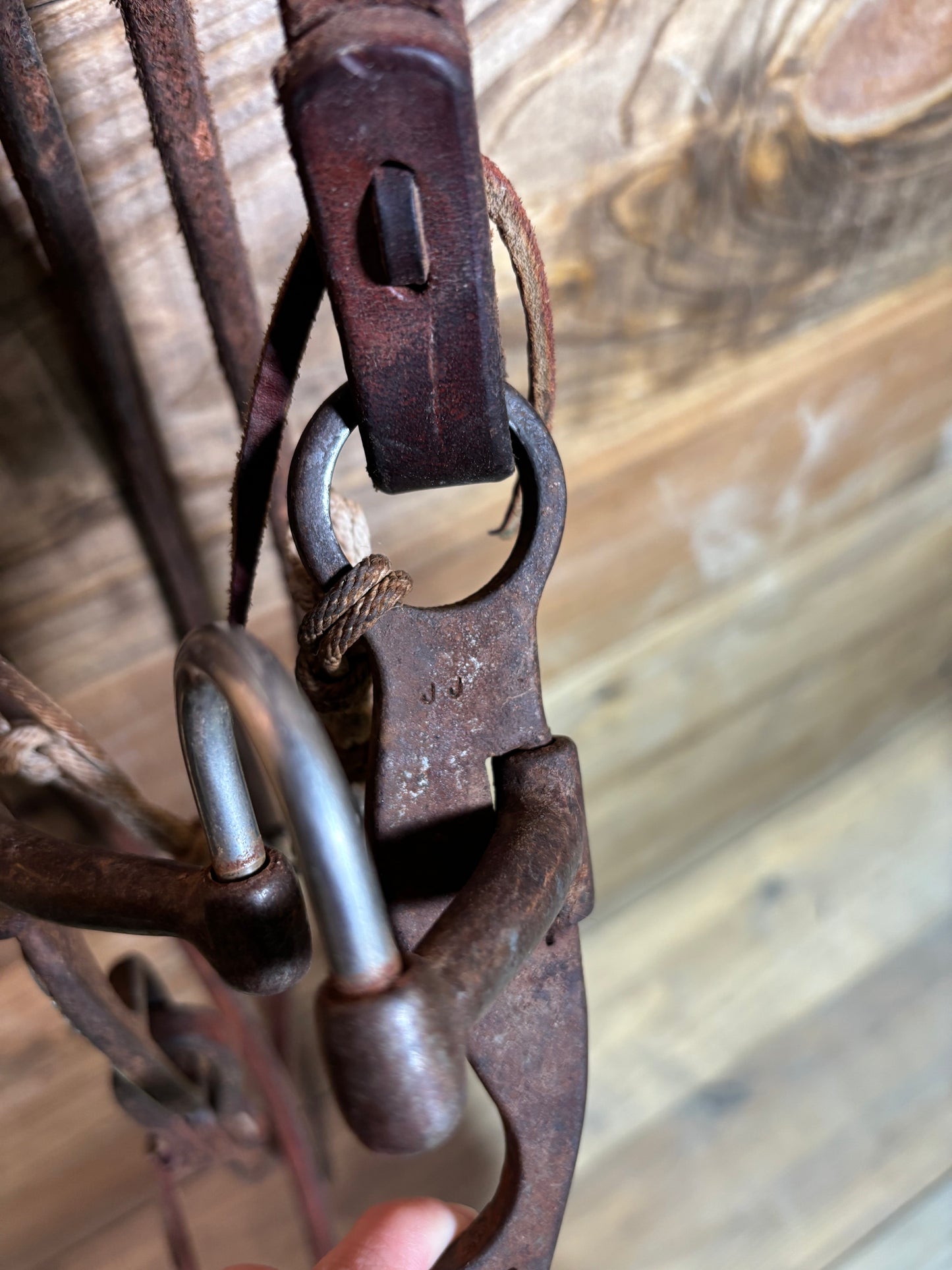 ISUB006 Jason Jarvis Mounted Correction Bridle