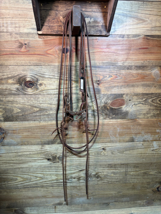 ISUB009 Dakota Lagunas Bridle