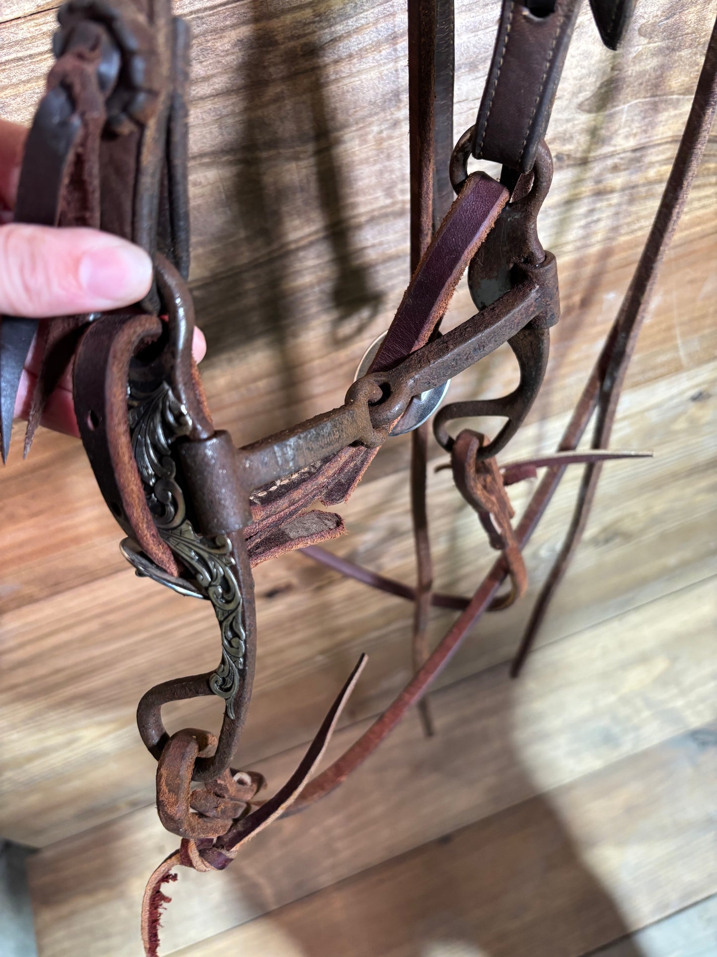 ISUB009 Dakota Lagunas Bridle