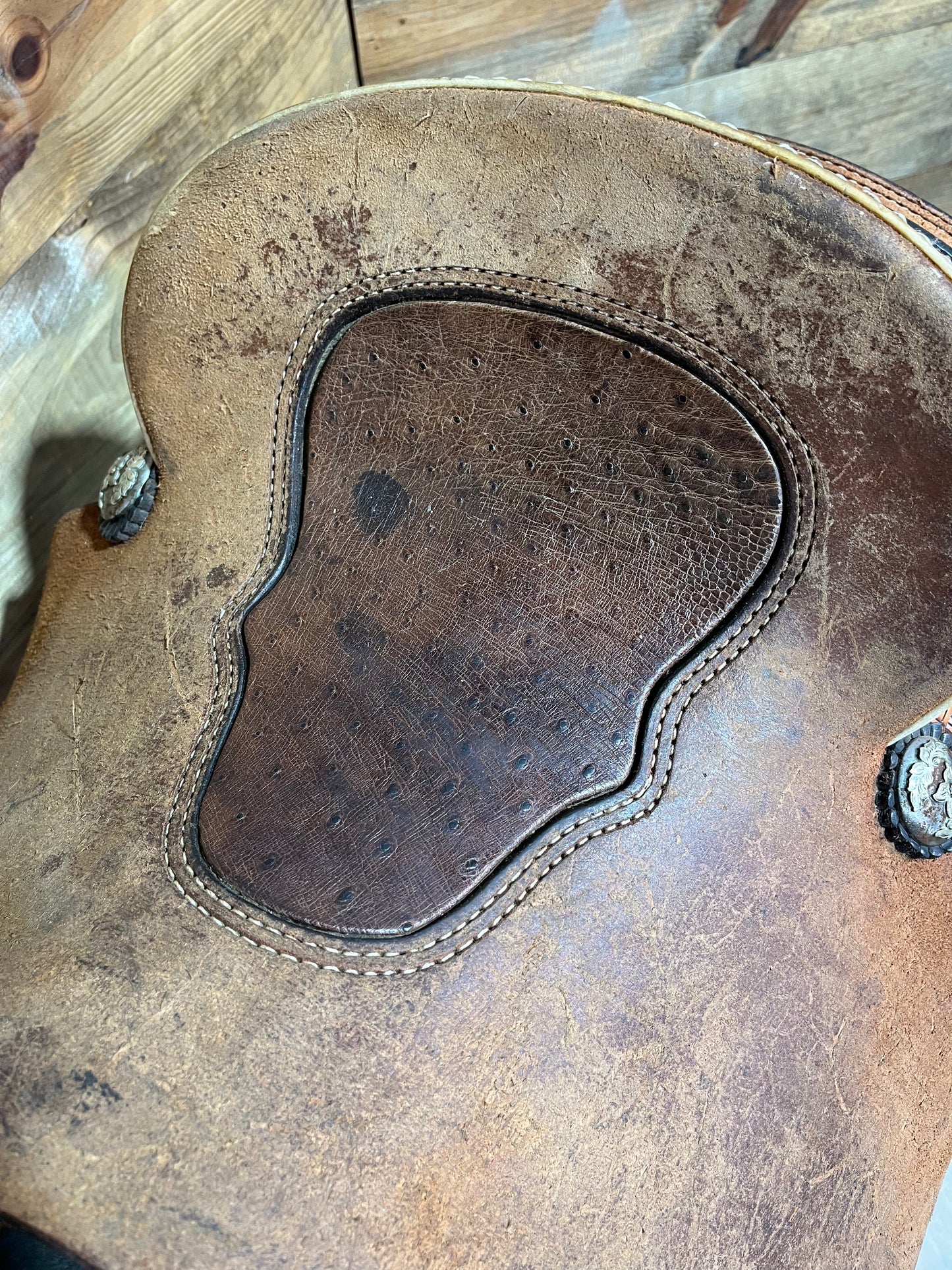 15" Trent Ward Platinum Roper ISUSED2388