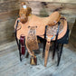 Trent Ward WJ Ranch Roper ISRS728-25