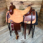 Trent Ward DL Cow Horse ISCH146-25
